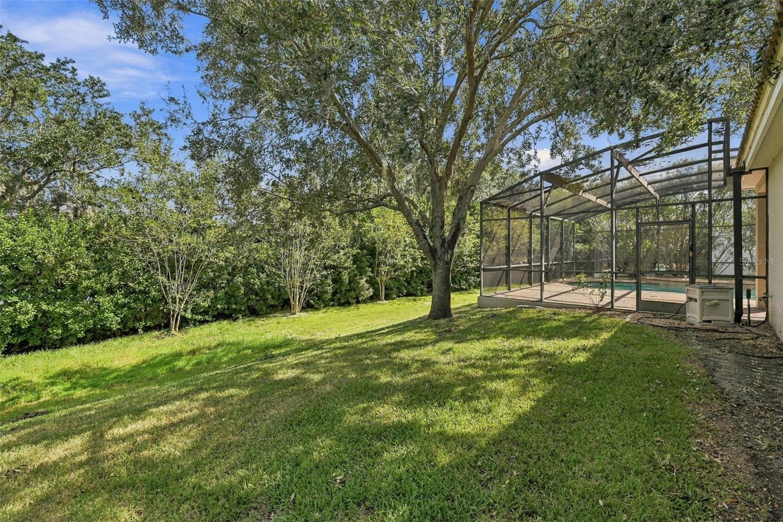 Backyard - 2139 TILLMAN AVE, WINTER GARDEN