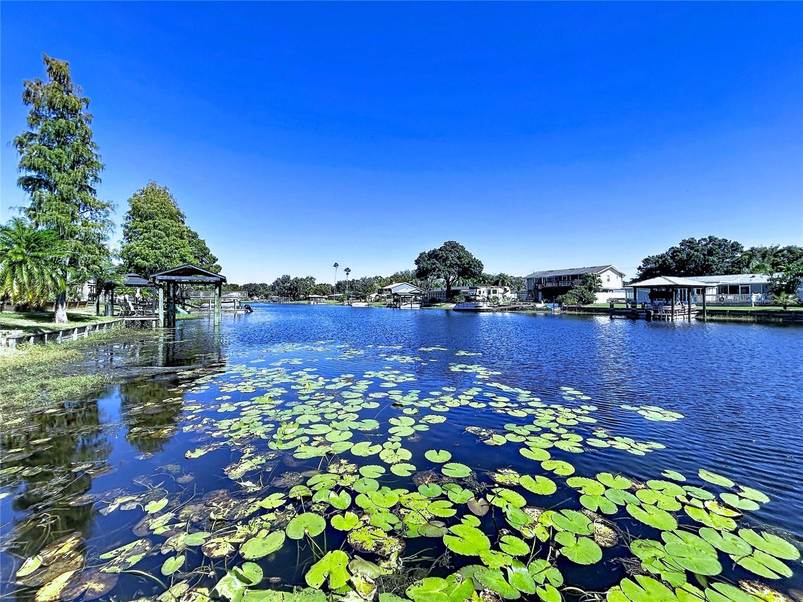 Single Family Residence at 3202 PINE SHADOW DR, LAND O LAKES, photo 4 of 57