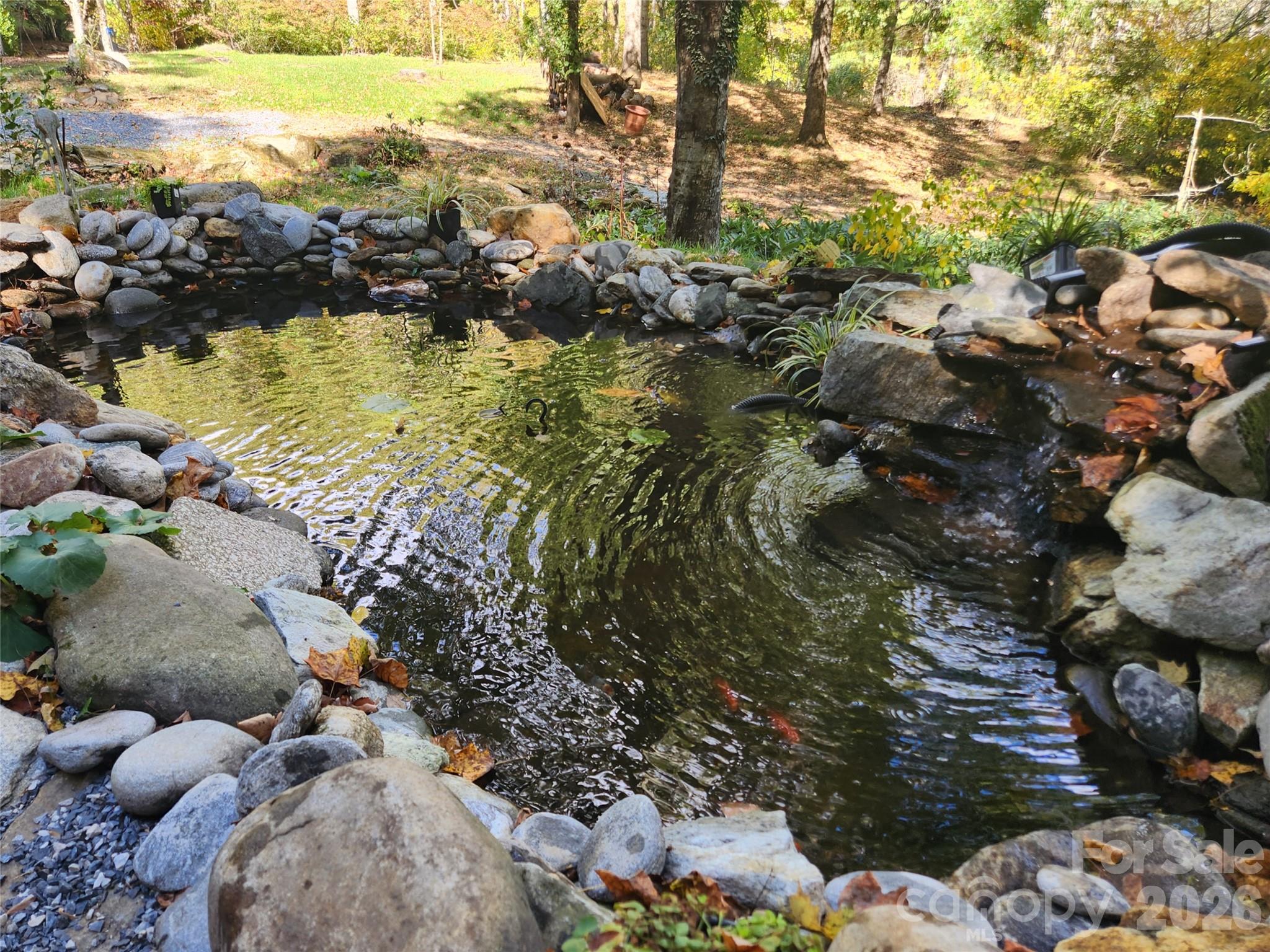 Fish pond - 81 Summer Trees Lane, Burnsville