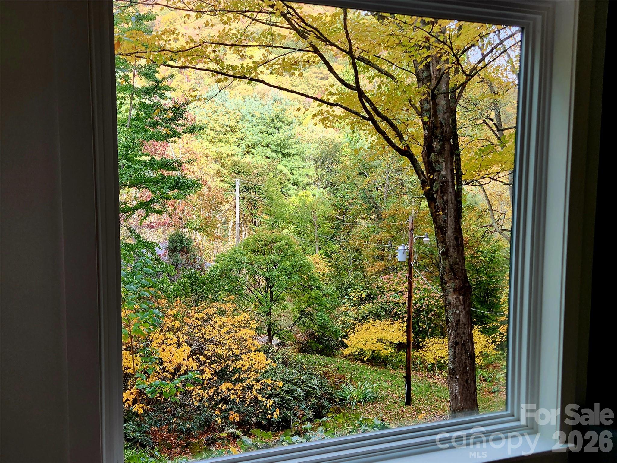 Beautiful fall views from your new windows. - 81 Summer Trees Lane, Burnsville