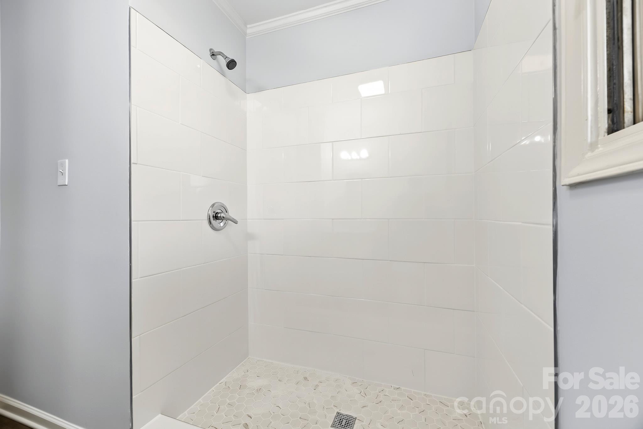 Large walk-in tiled shower in hallway bathroom - 2018 Quentin Street, Charlotte
