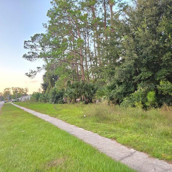 Land at TBD S. ANDERSON ST, BUNNELL, photo 3 of 6