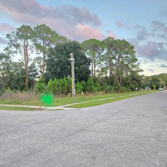 Land at TBD S. ANDERSON ST, BUNNELL, photo 4 of 6