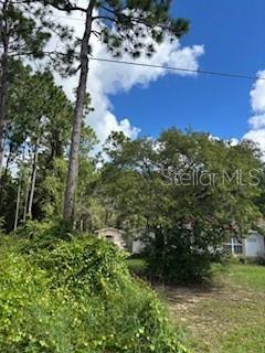Land at SW 127TH LANE RD, OCALA, photo 2 of 3