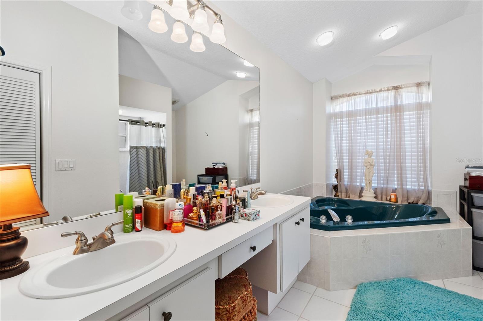 Primary Bathroom - 10030 BEEFMASTER CT, NEW PORT RICHEY