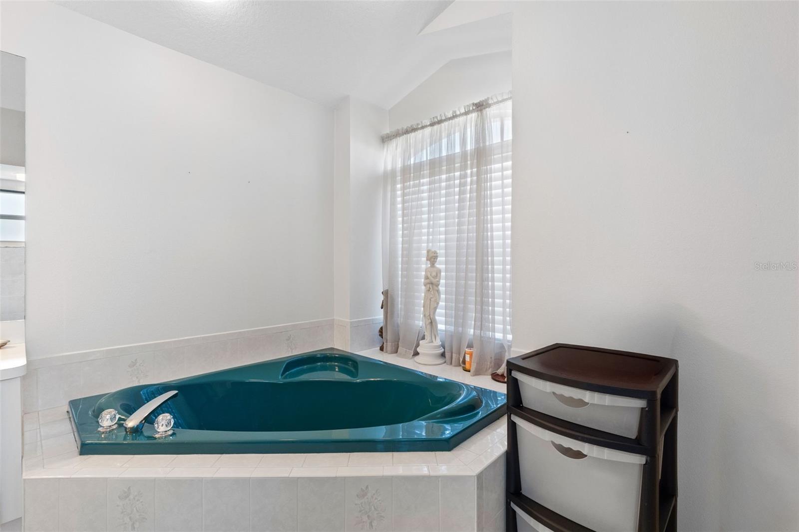 Single Family Residence at 10030 BEEFMASTER CT, NEW PORT RICHEY, photo 17 of 36