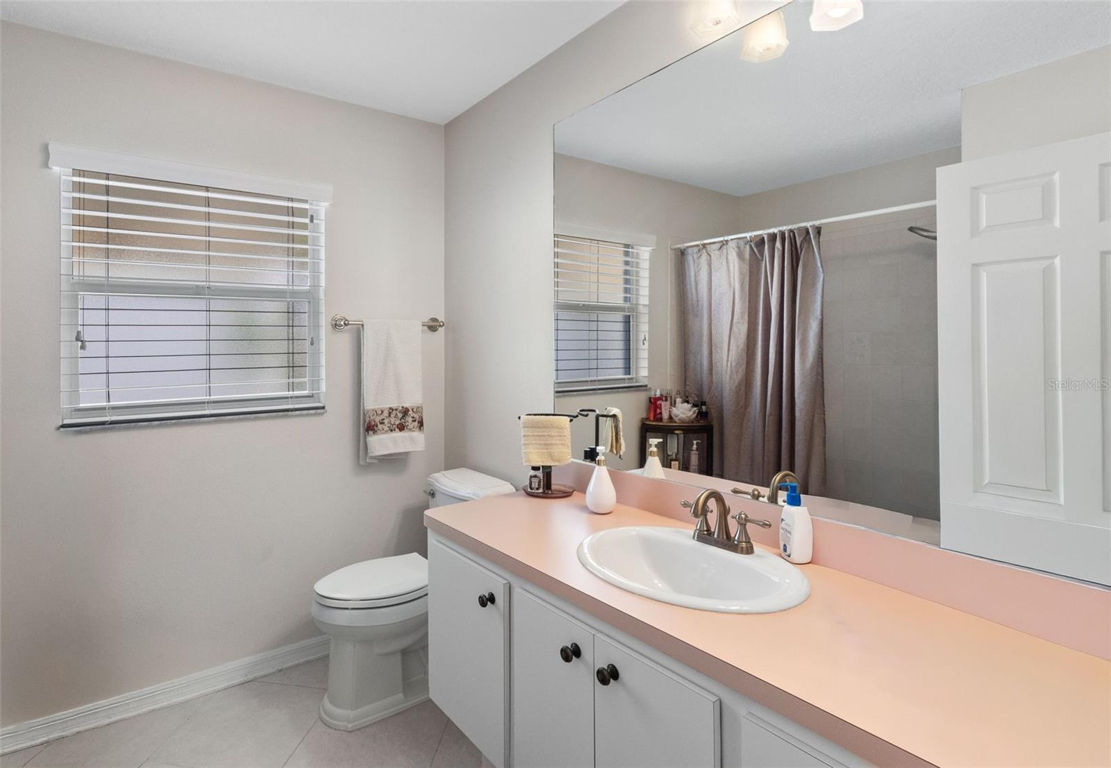 Second Bathroom - 10030 BEEFMASTER CT, NEW PORT RICHEY