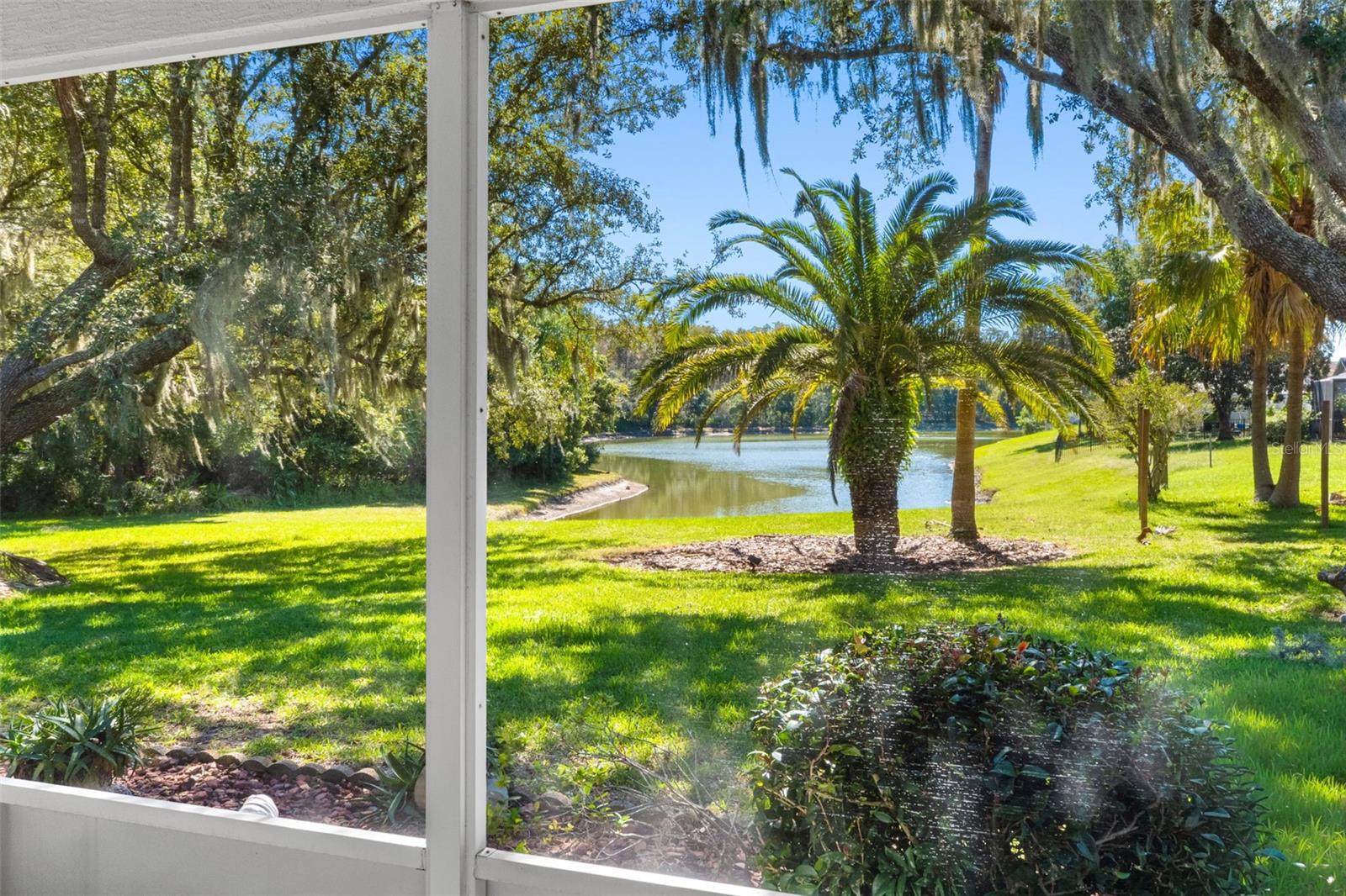 Pound View - 10030 BEEFMASTER CT, NEW PORT RICHEY