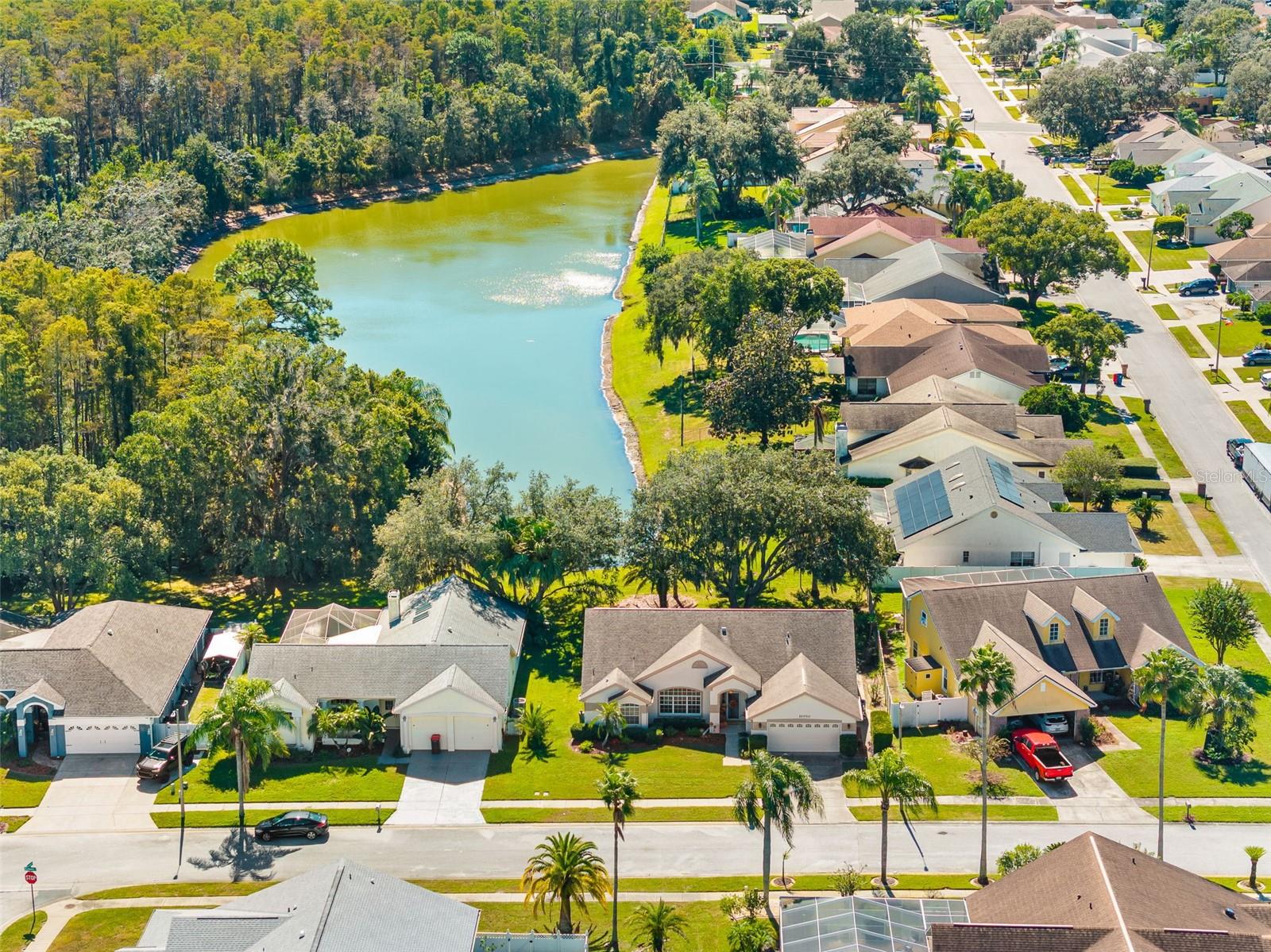 Single Family Residence at 10030 BEEFMASTER CT, NEW PORT RICHEY, photo 33 of 36