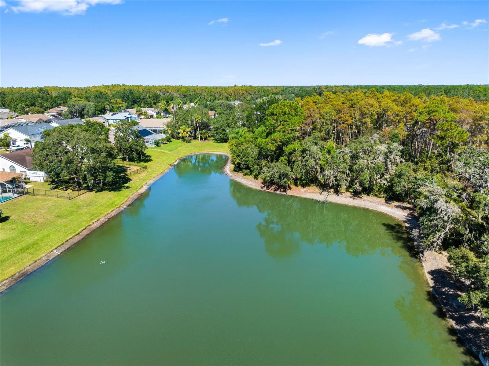 Single Family Residence at 10030 BEEFMASTER CT, NEW PORT RICHEY, photo 34 of 36