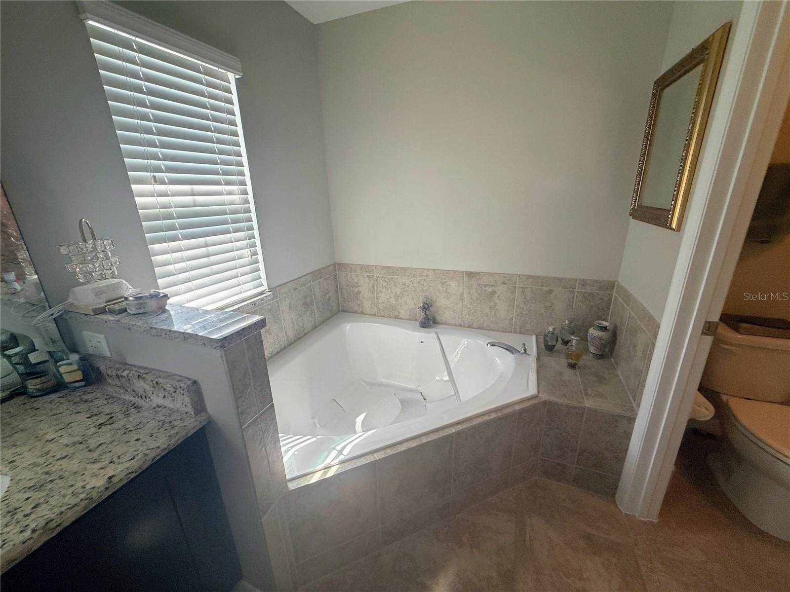 Hot Tub in Master Bath - 4854 POOLSIDE DR, ST CLOUD