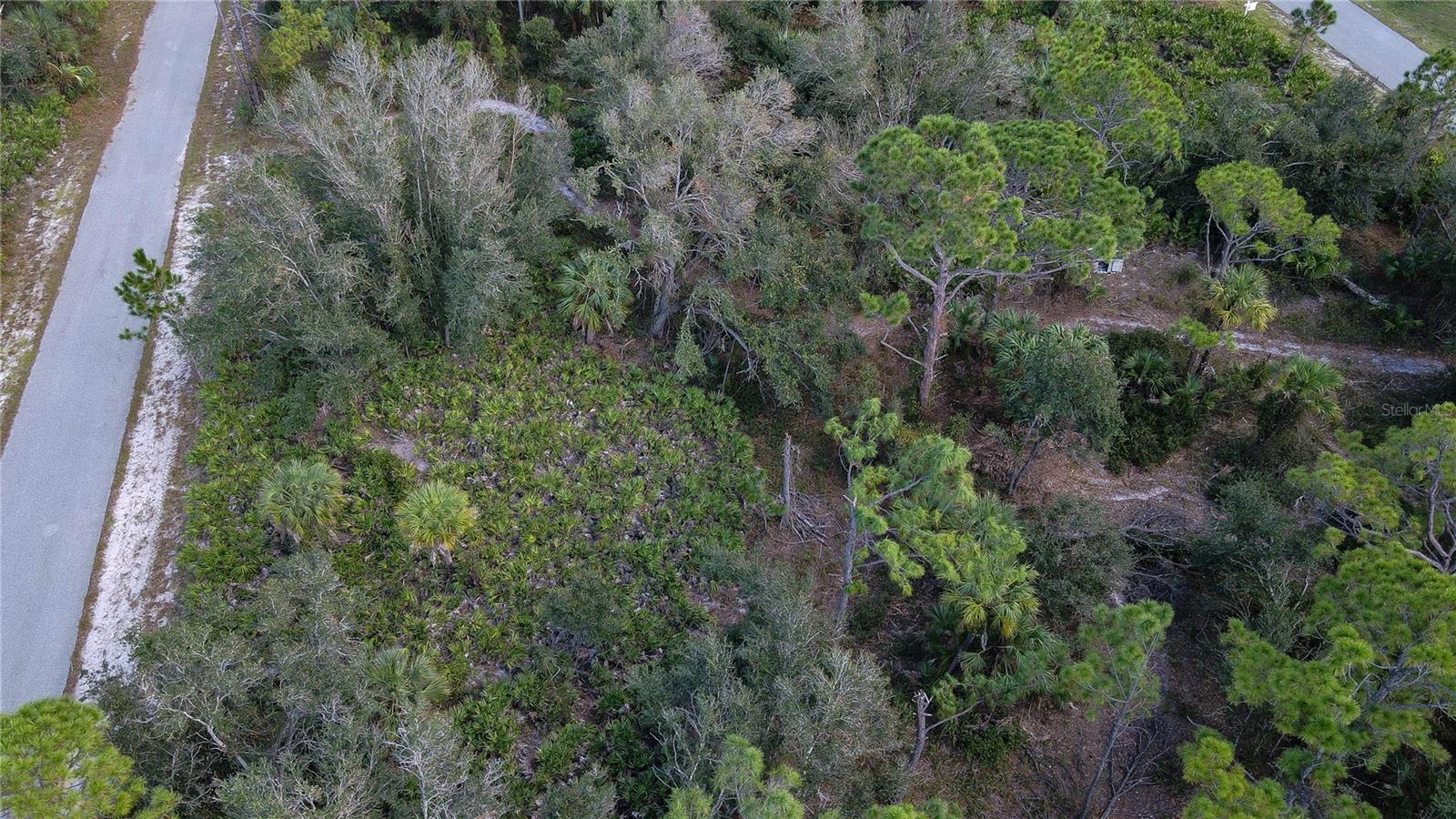 Land at 18407 HARRISON AVE, PORT CHARLOTTE, photo 6 of 7