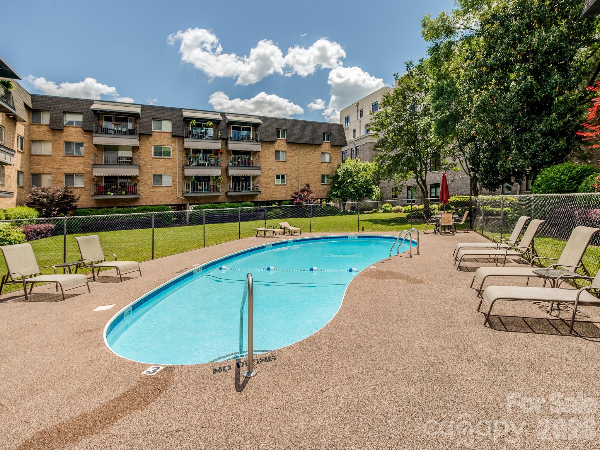 Community Pool - 1323 Queens Road, Charlotte