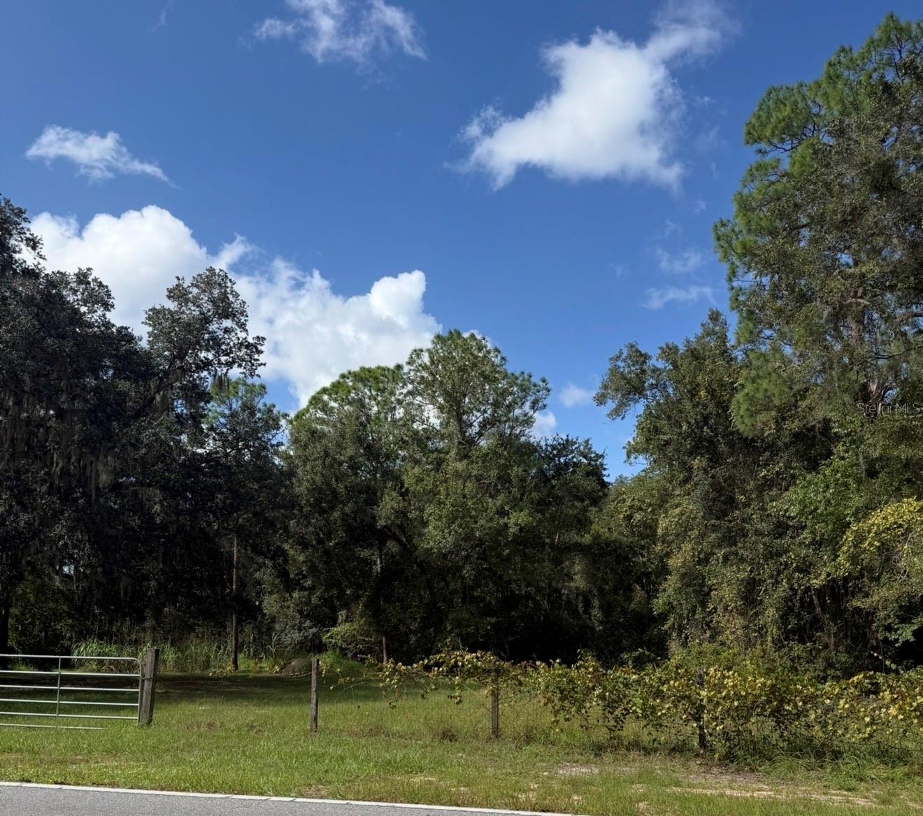 Land at OLD KISSIMMEE RD, DAVENPORT, photo 2 of 11