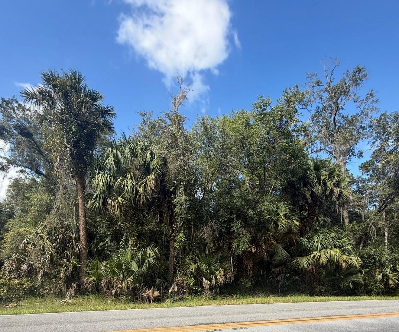 Land at OLD KISSIMMEE RD, DAVENPORT, photo 3 of 11