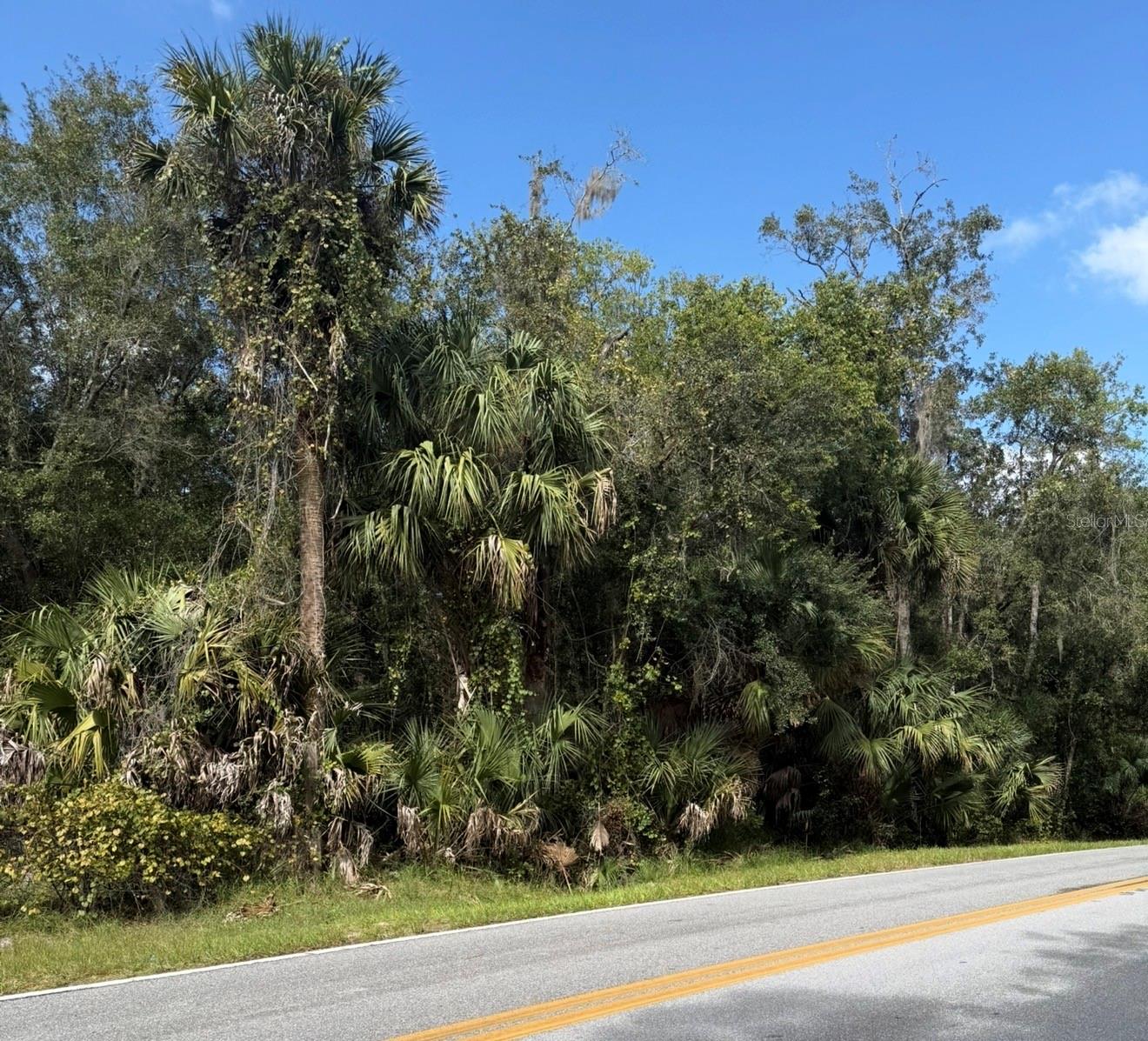 Land at OLD KISSIMMEE RD, DAVENPORT, photo 4 of 11