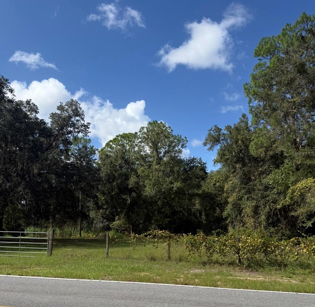 Land at OLD KISSIMMEE RD, DAVENPORT, photo 5 of 11