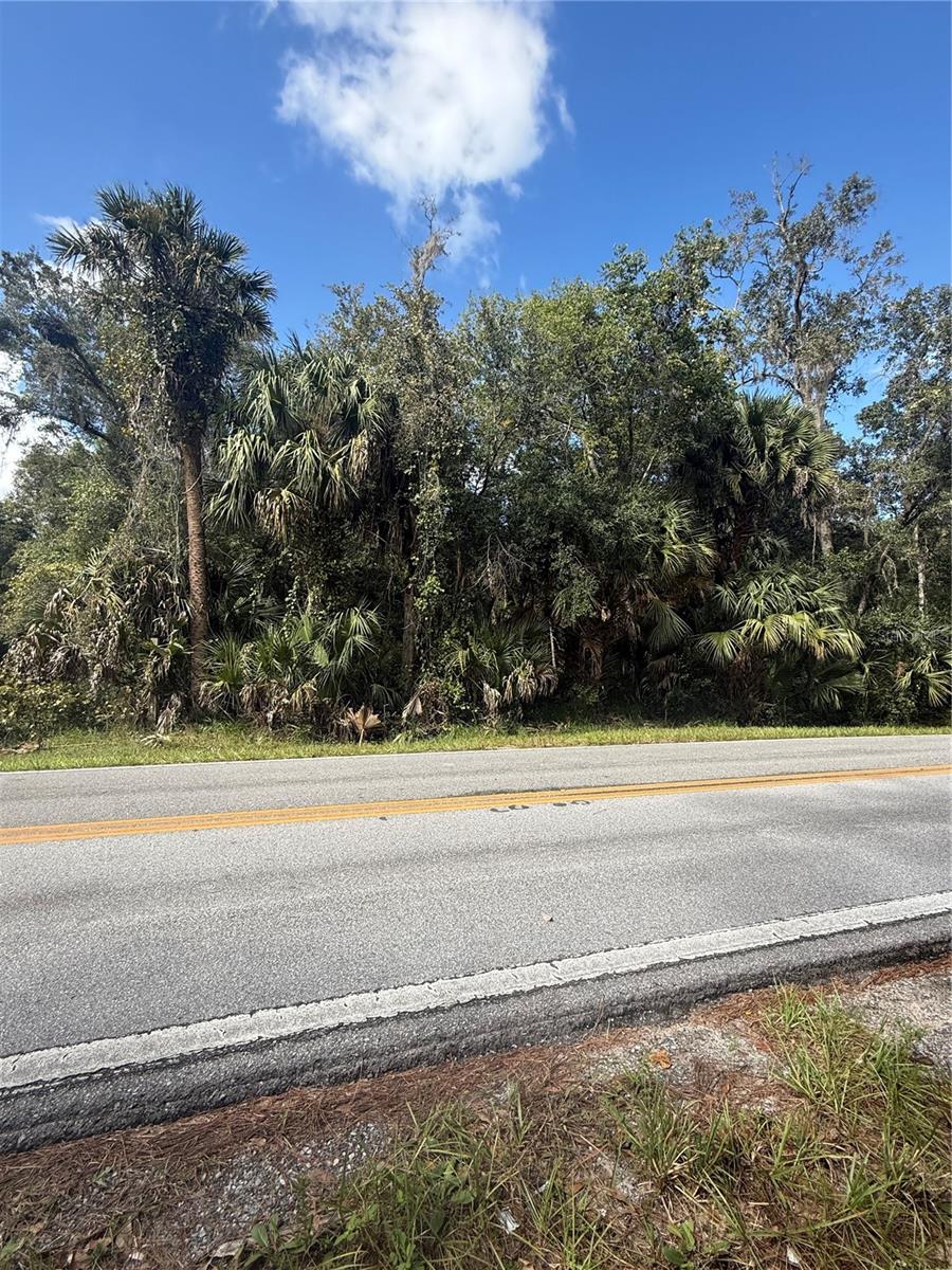 Land at OLD KISSIMMEE RD, DAVENPORT, photo 6 of 11