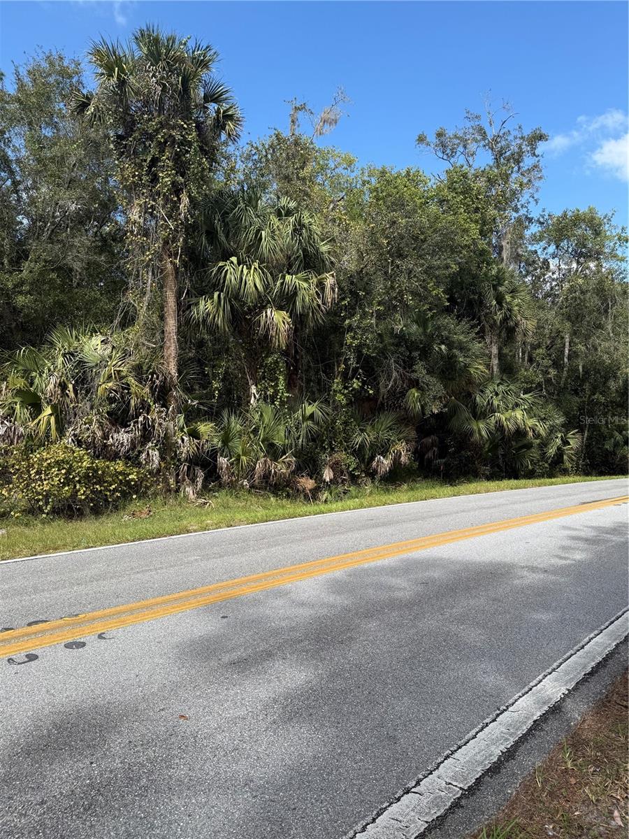 Land at OLD KISSIMMEE RD, DAVENPORT, photo 7 of 11
