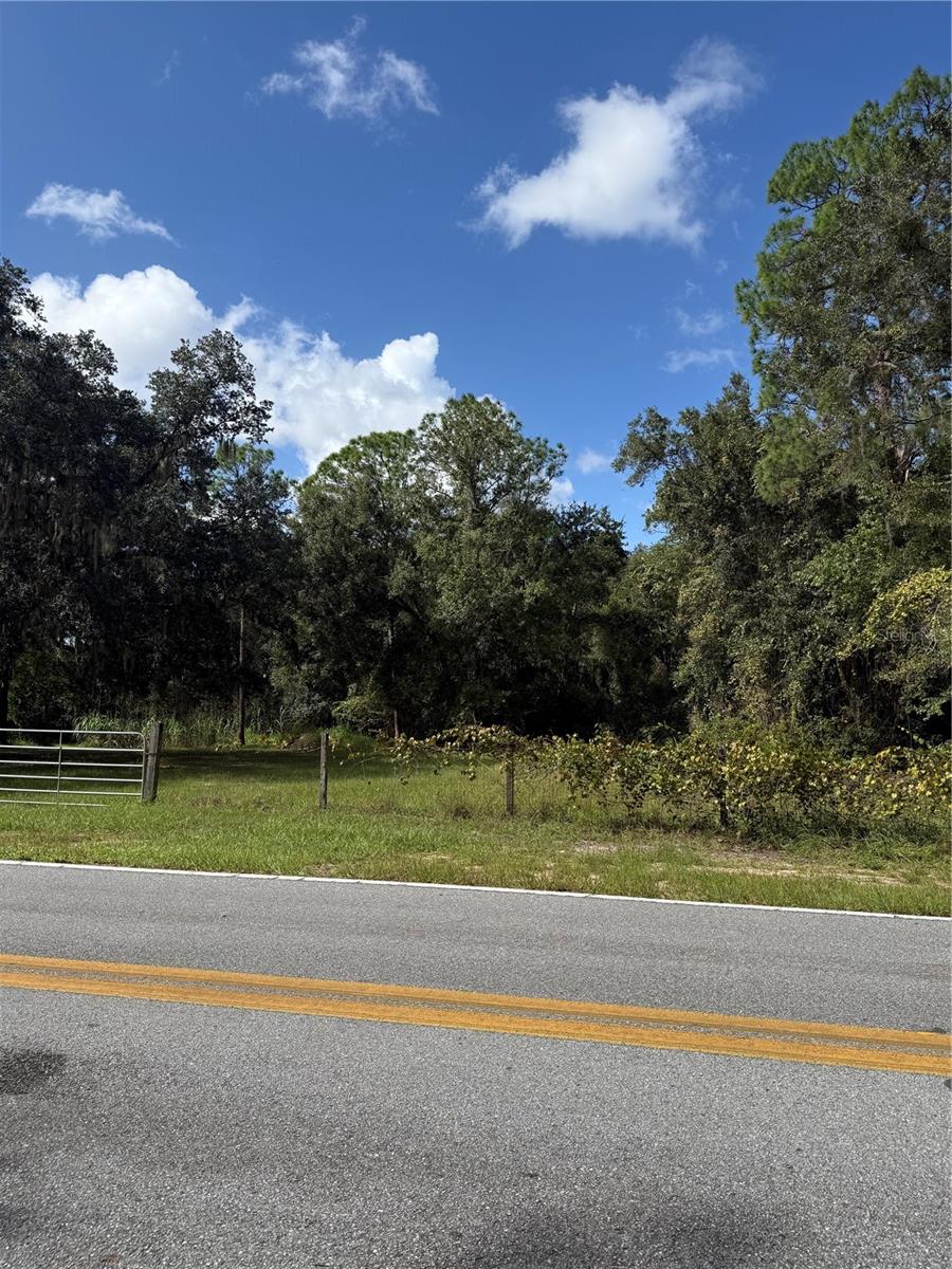 Land at OLD KISSIMMEE RD, DAVENPORT, photo 8 of 11