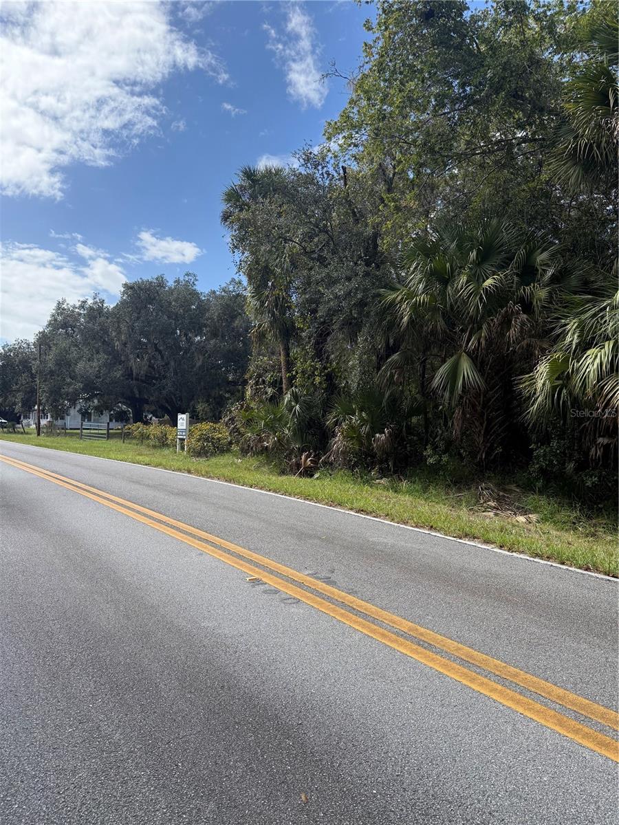 Land at OLD KISSIMMEE RD, DAVENPORT, photo 9 of 11