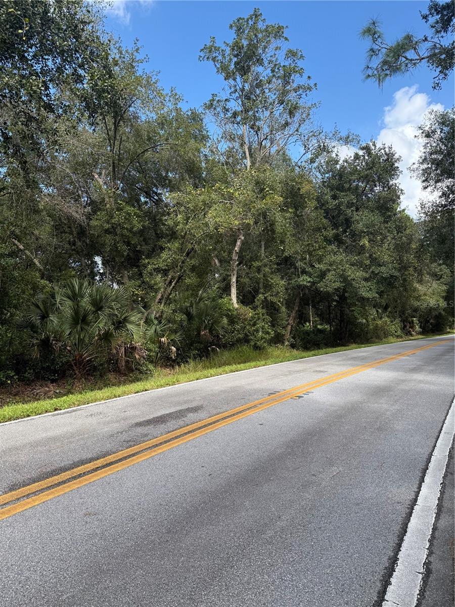 Land at OLD KISSIMMEE RD, DAVENPORT, photo 10 of 11