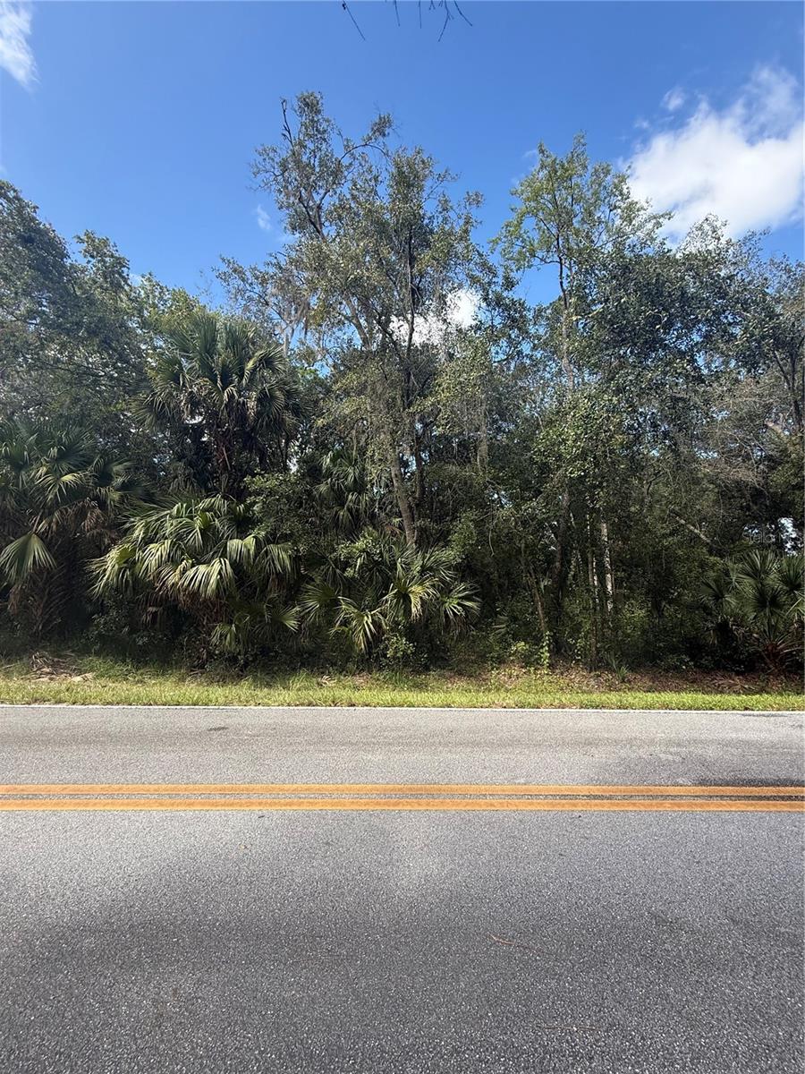 Land at OLD KISSIMMEE RD, DAVENPORT, photo 11 of 11
