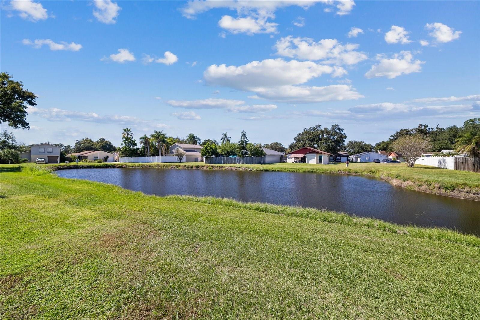 Single Family Residence at 10710 KEY LIME WAY, TAMPA, photo 37 of 43