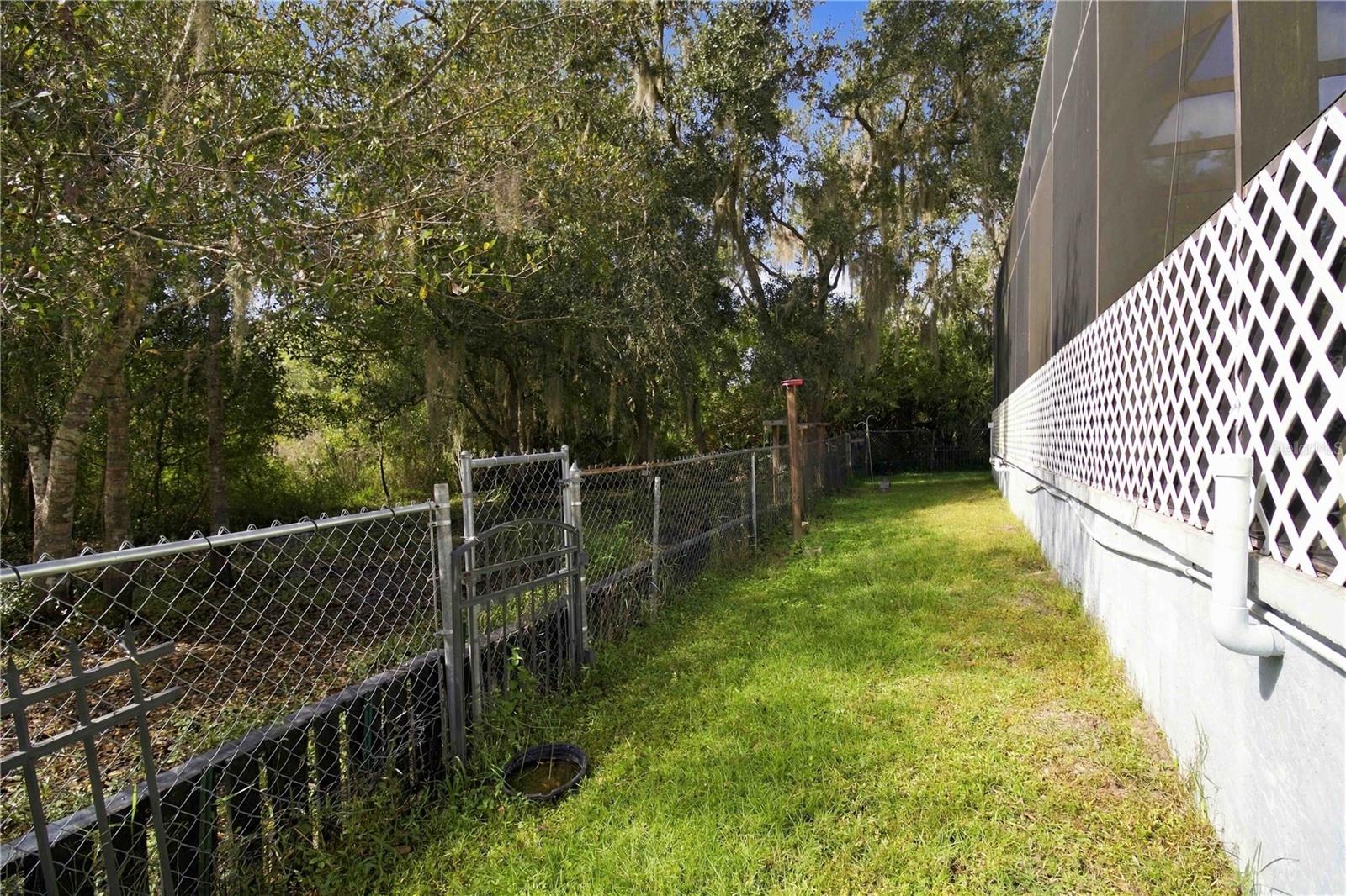 Back Yard - 13220 N BRANCH RD, SARASOTA