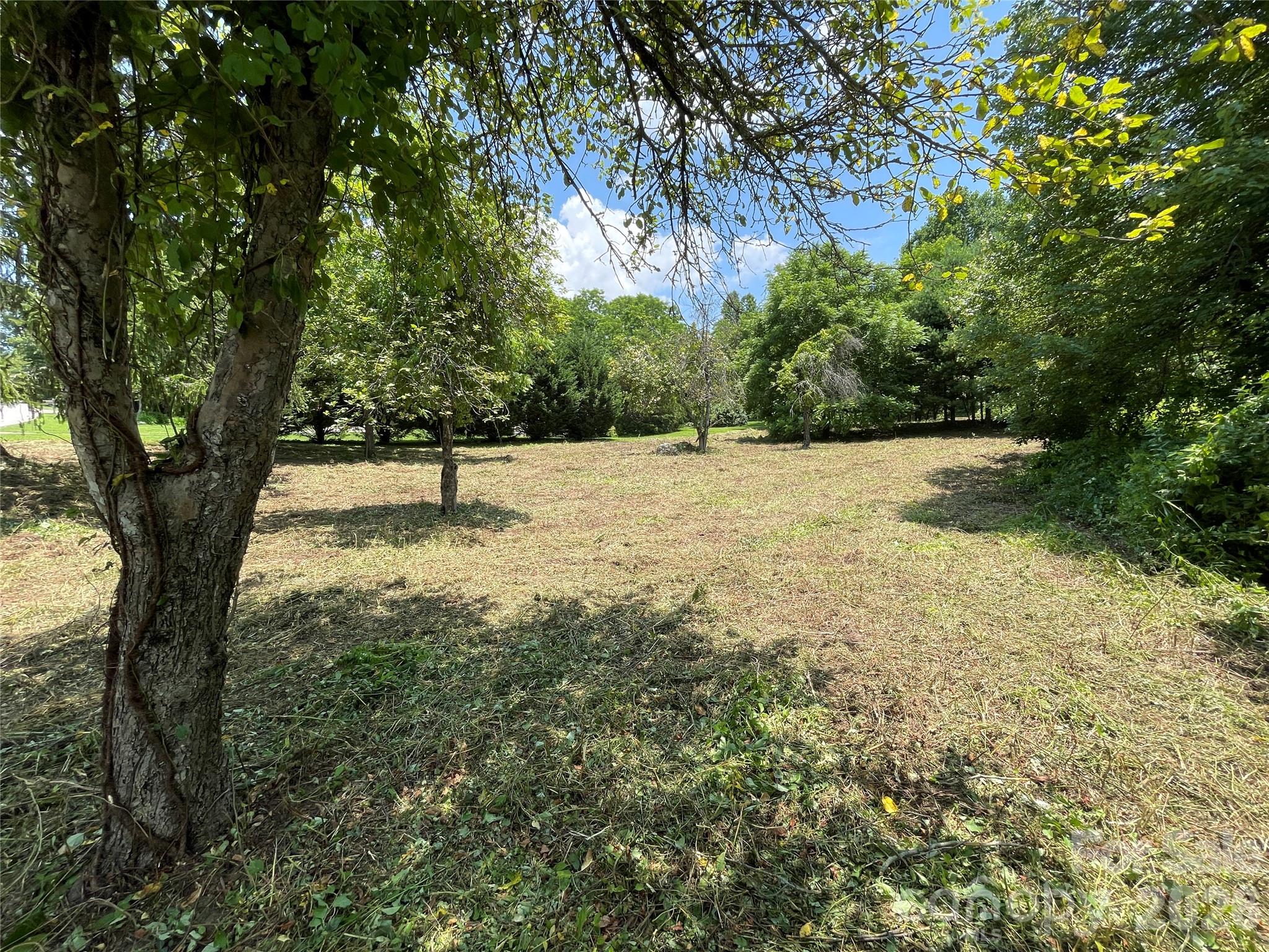 Lot at 150 Founders Drive, Flat Rock, photo 9 of 57