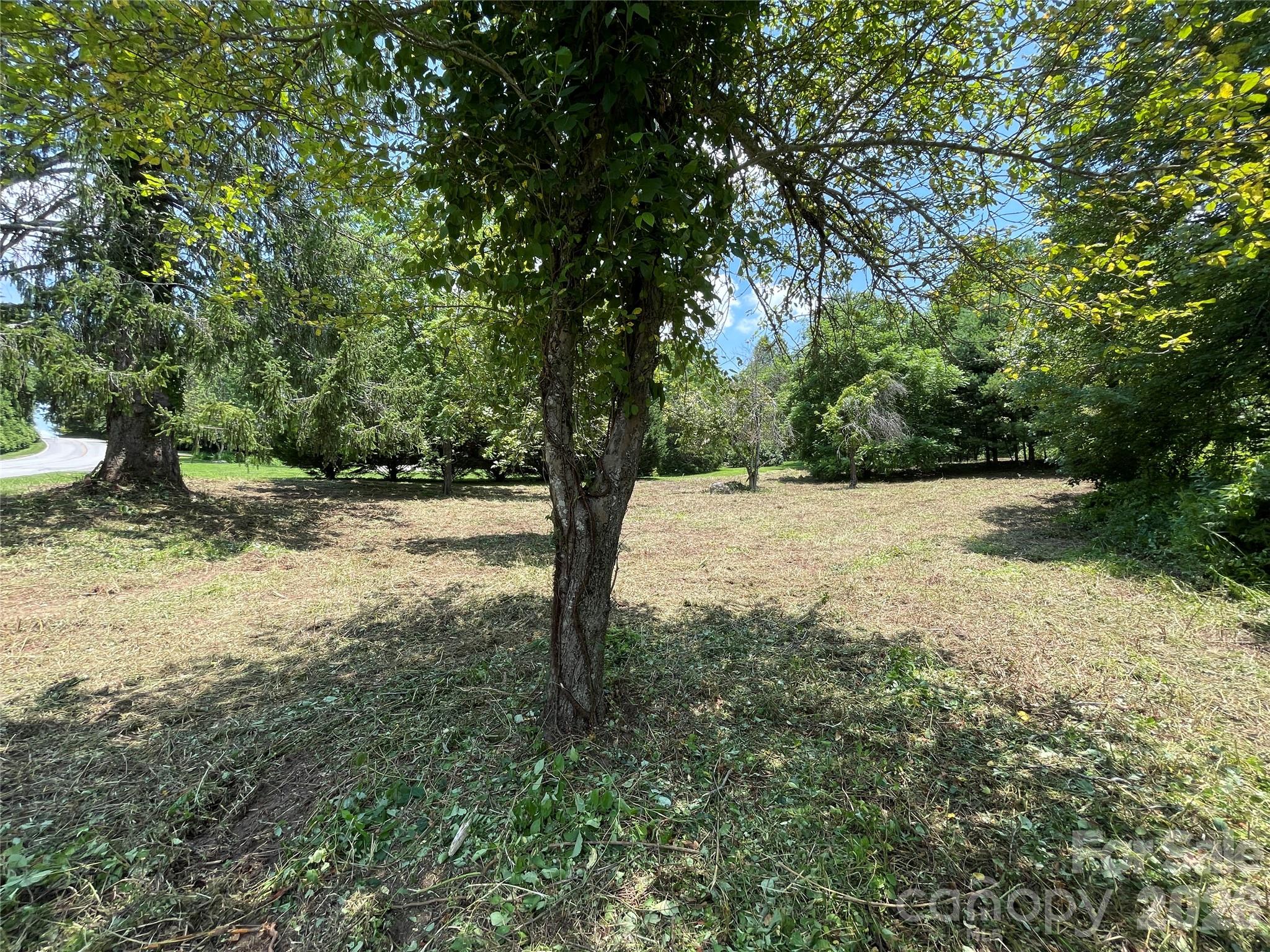 Lot at 150 Founders Drive, Flat Rock, photo 10 of 57