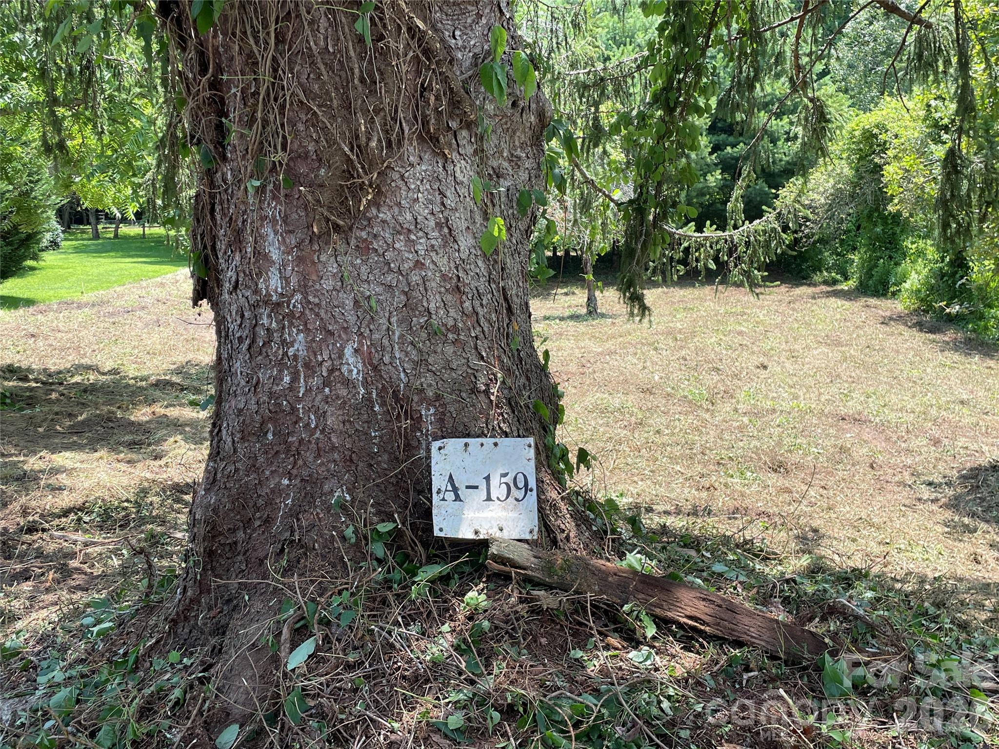 Lot at 150 Founders Drive, Flat Rock, photo 21 of 57