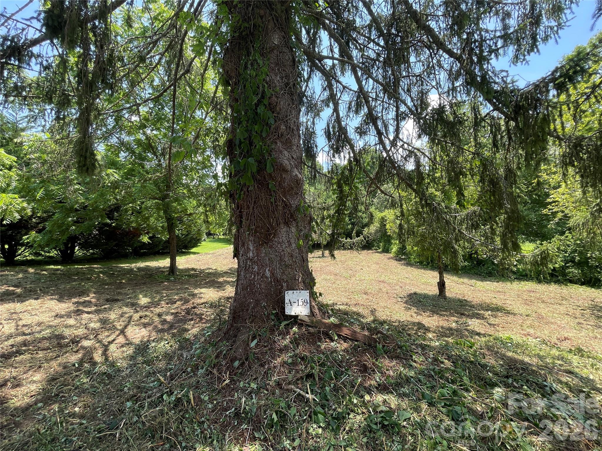 Lot at 150 Founders Drive, Flat Rock, photo 22 of 57