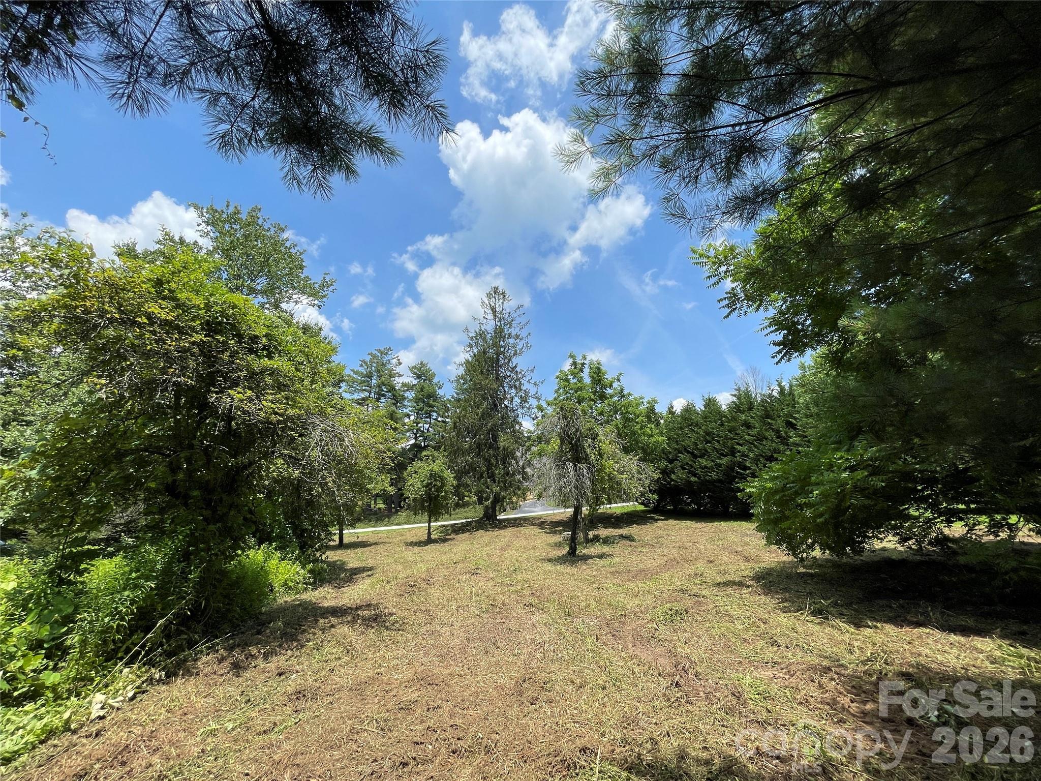 Lot at 150 Founders Drive, Flat Rock, photo 39 of 57