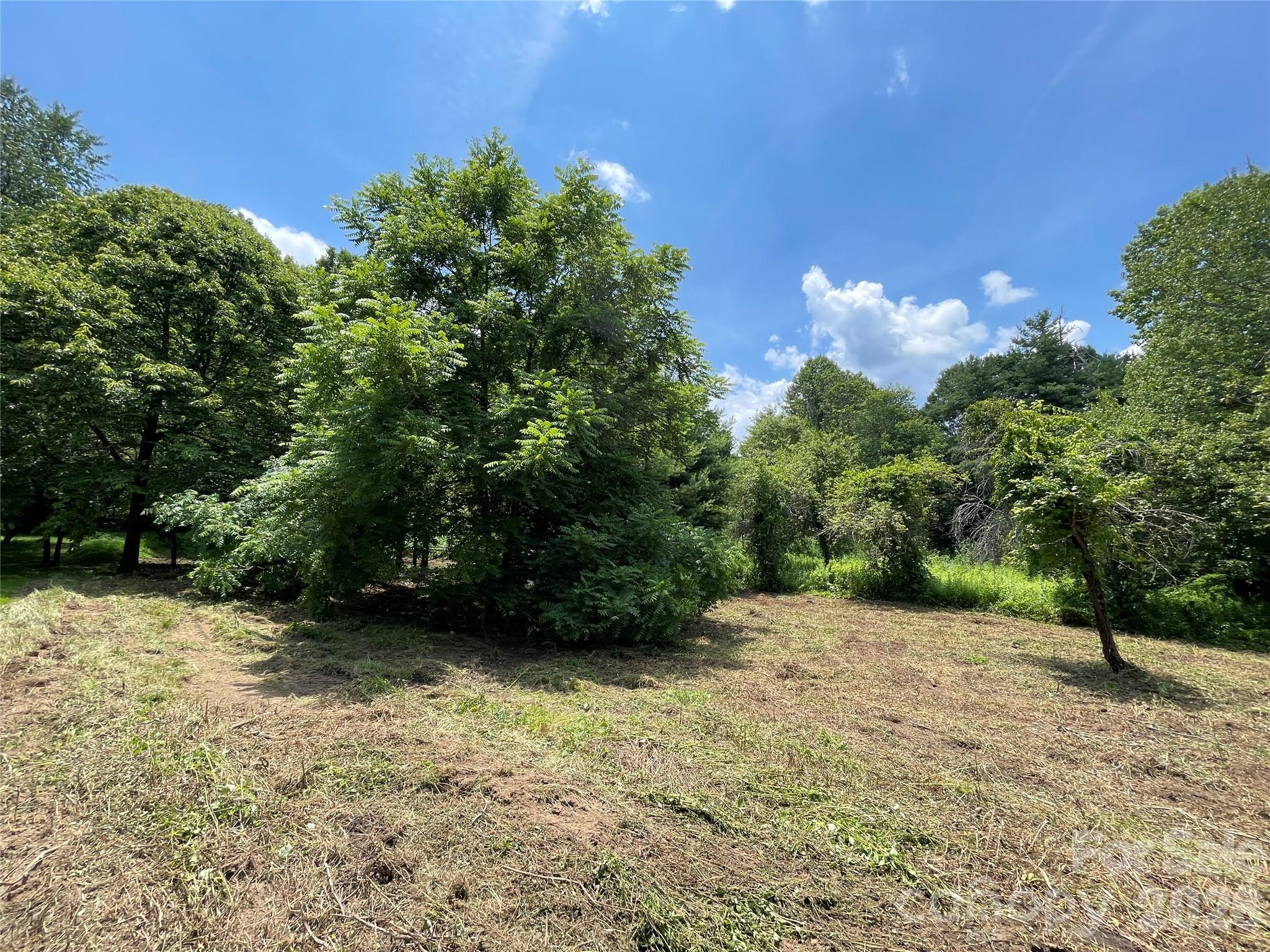 Lot at 150 Founders Drive, Flat Rock, photo 41 of 57