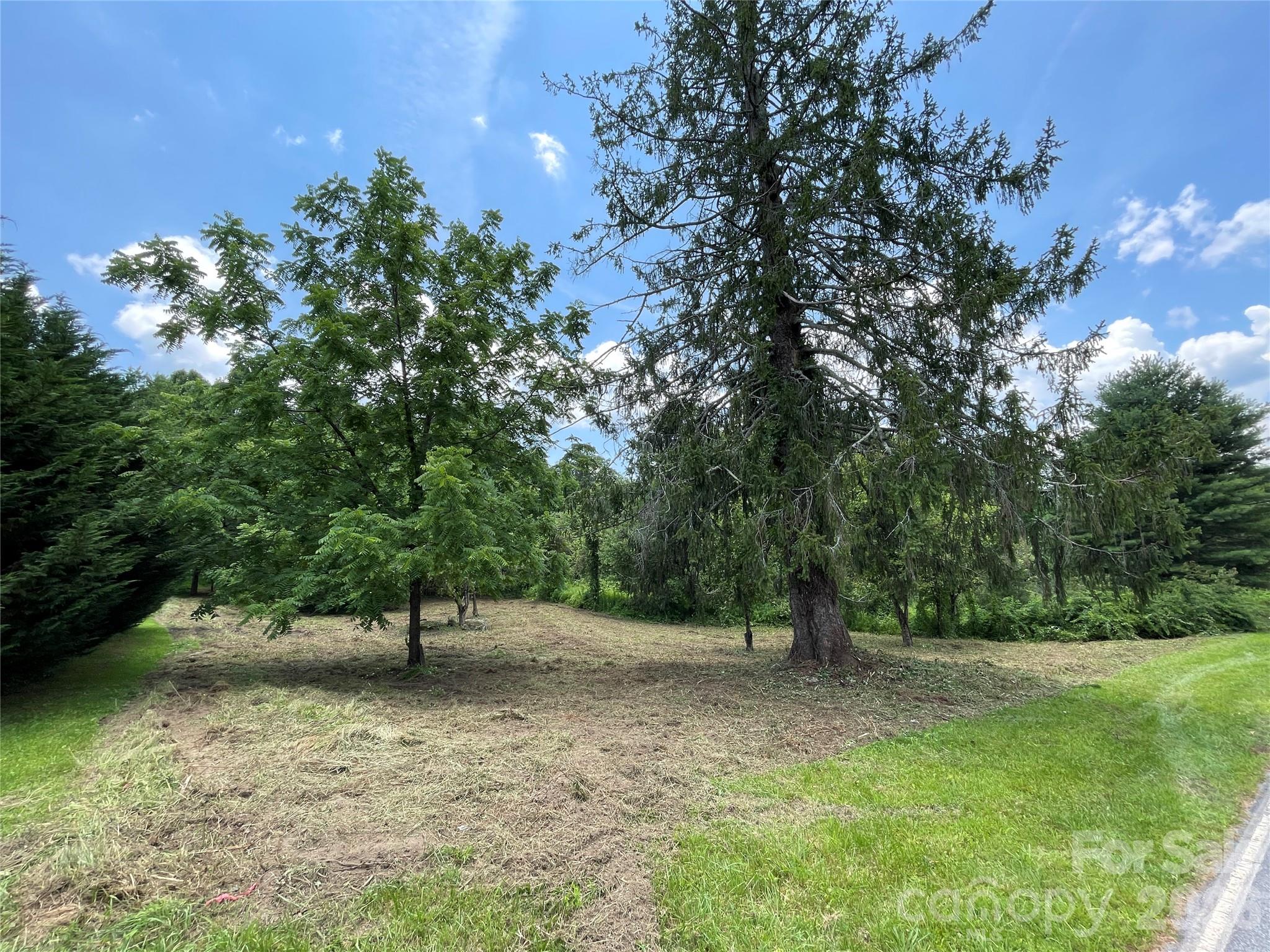 Lot at 150 Founders Drive, Flat Rock, photo 51 of 57