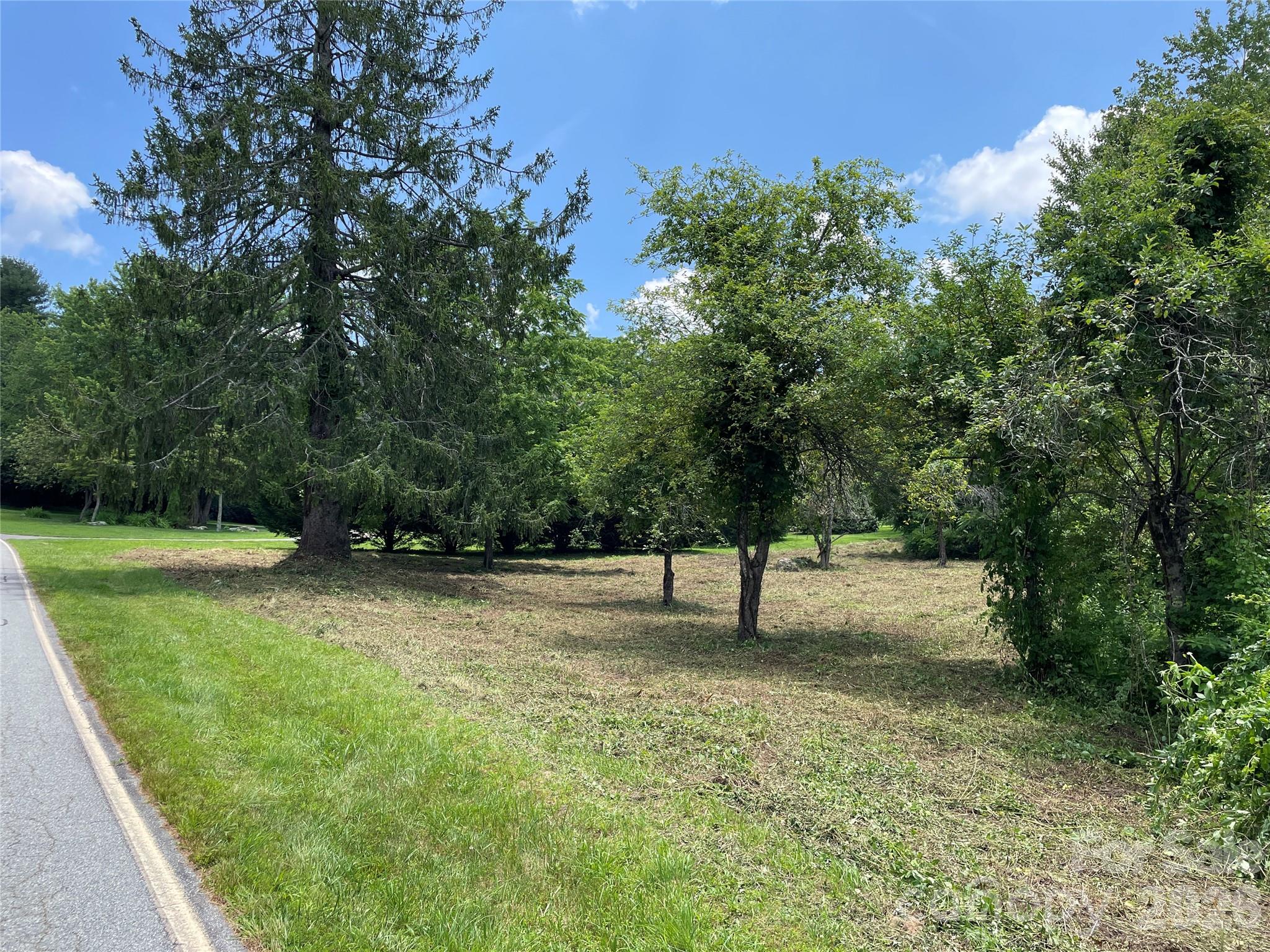 Lot at 150 Founders Drive, Flat Rock, photo 55 of 57