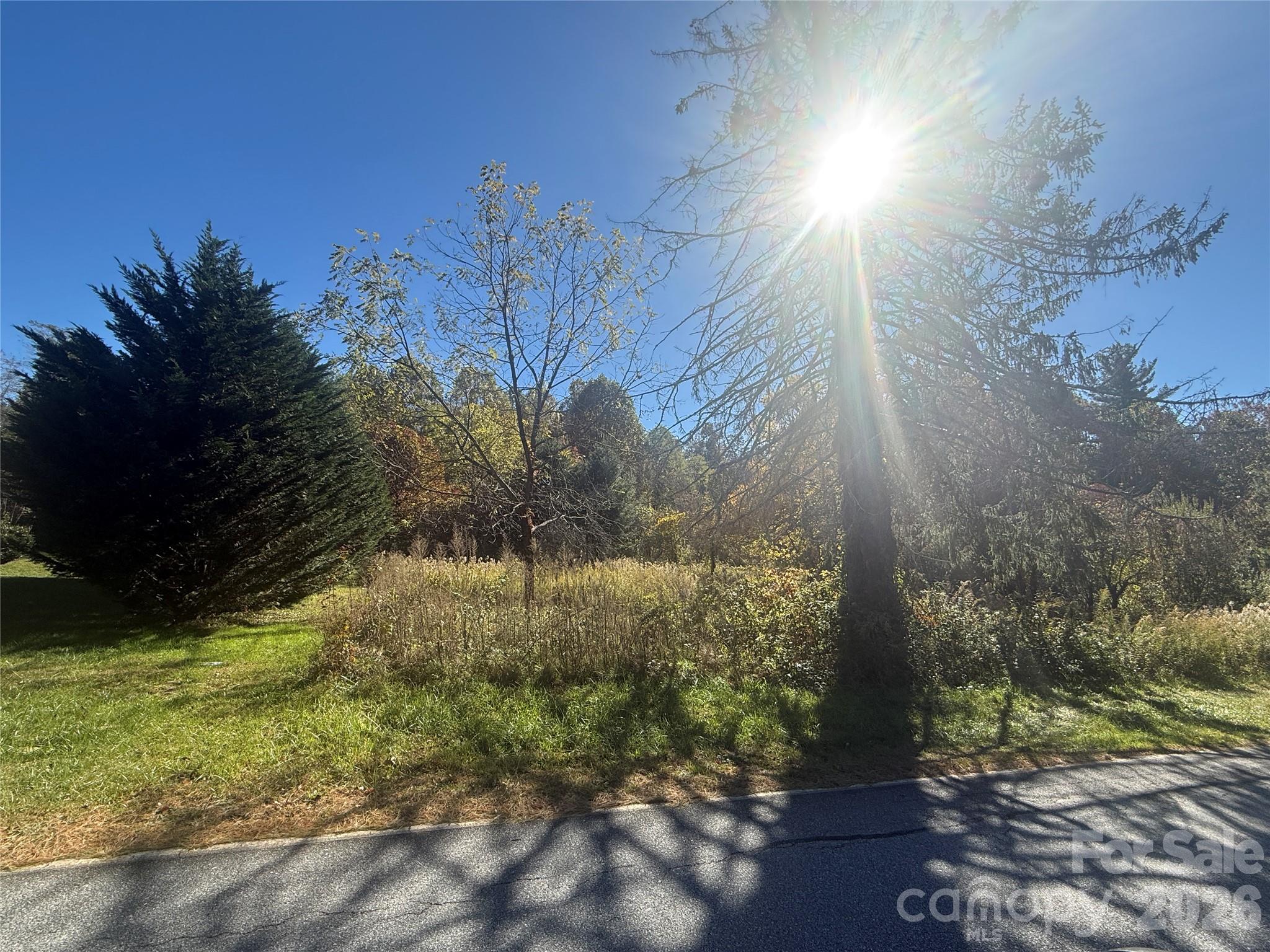 Lot at 150 Founders Drive, Flat Rock, photo 8 of 57