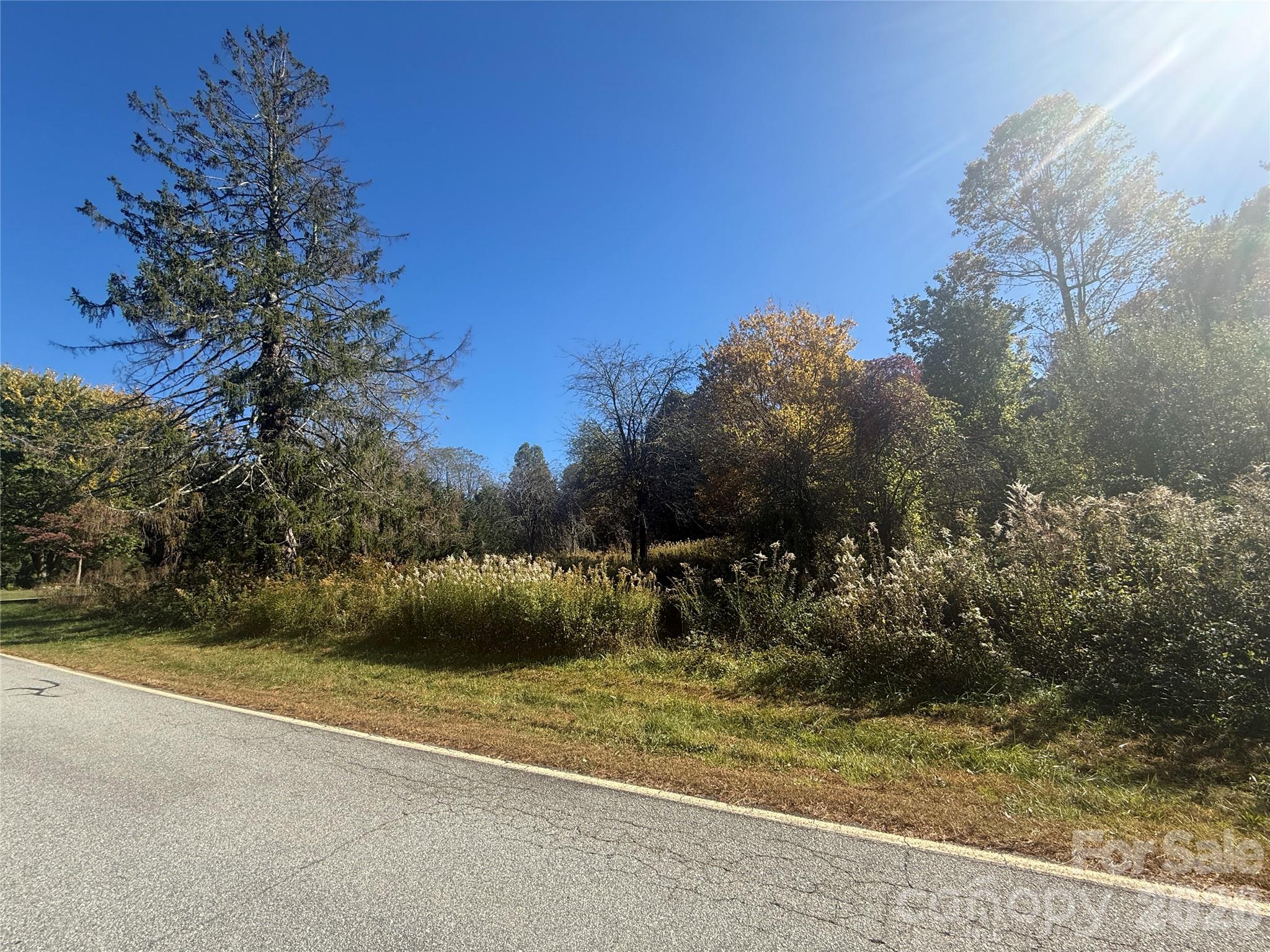 Lot at 150 Founders Drive, Flat Rock, photo 6 of 57