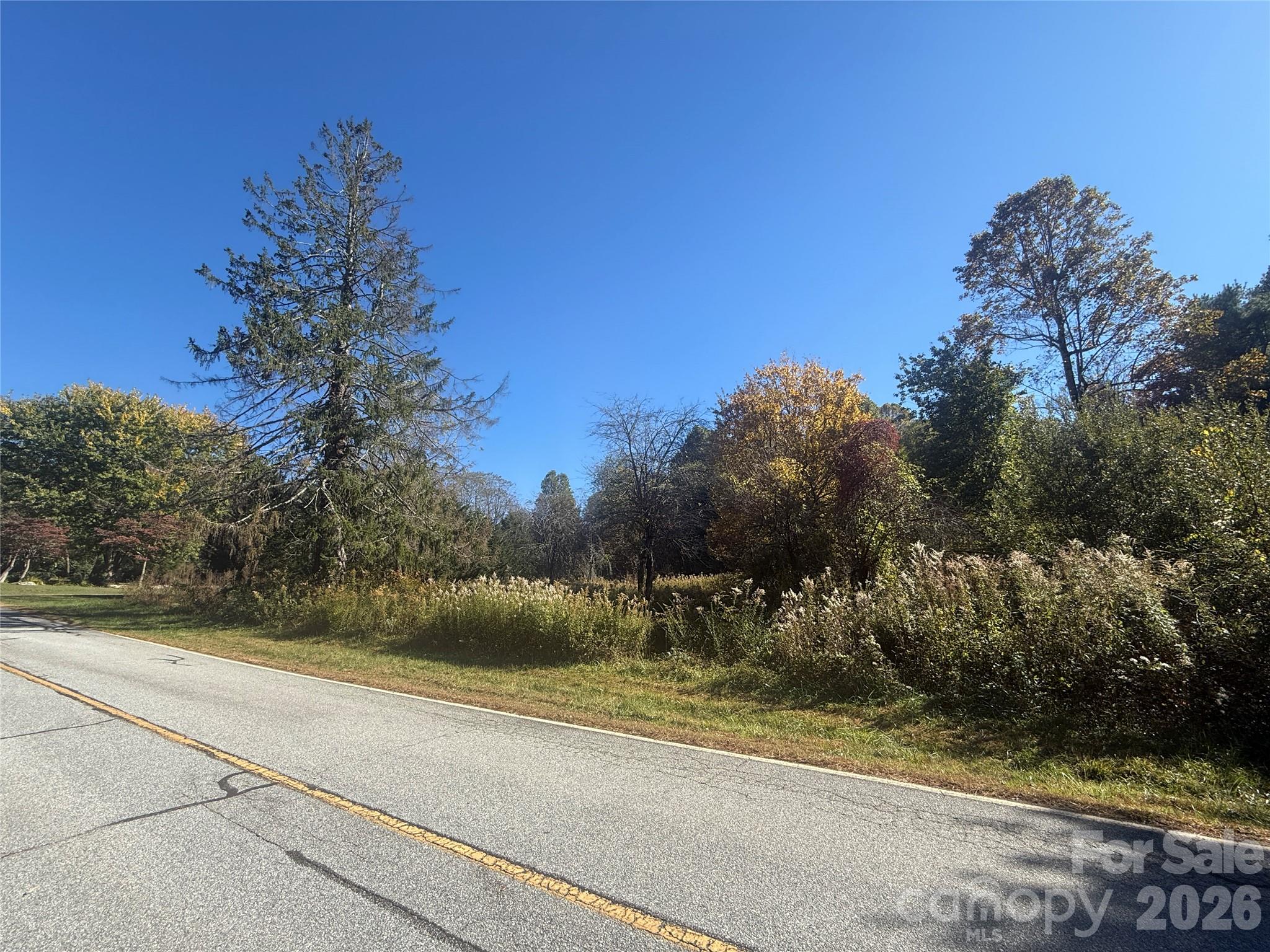 Lot at 150 Founders Drive, Flat Rock, photo 30 of 57