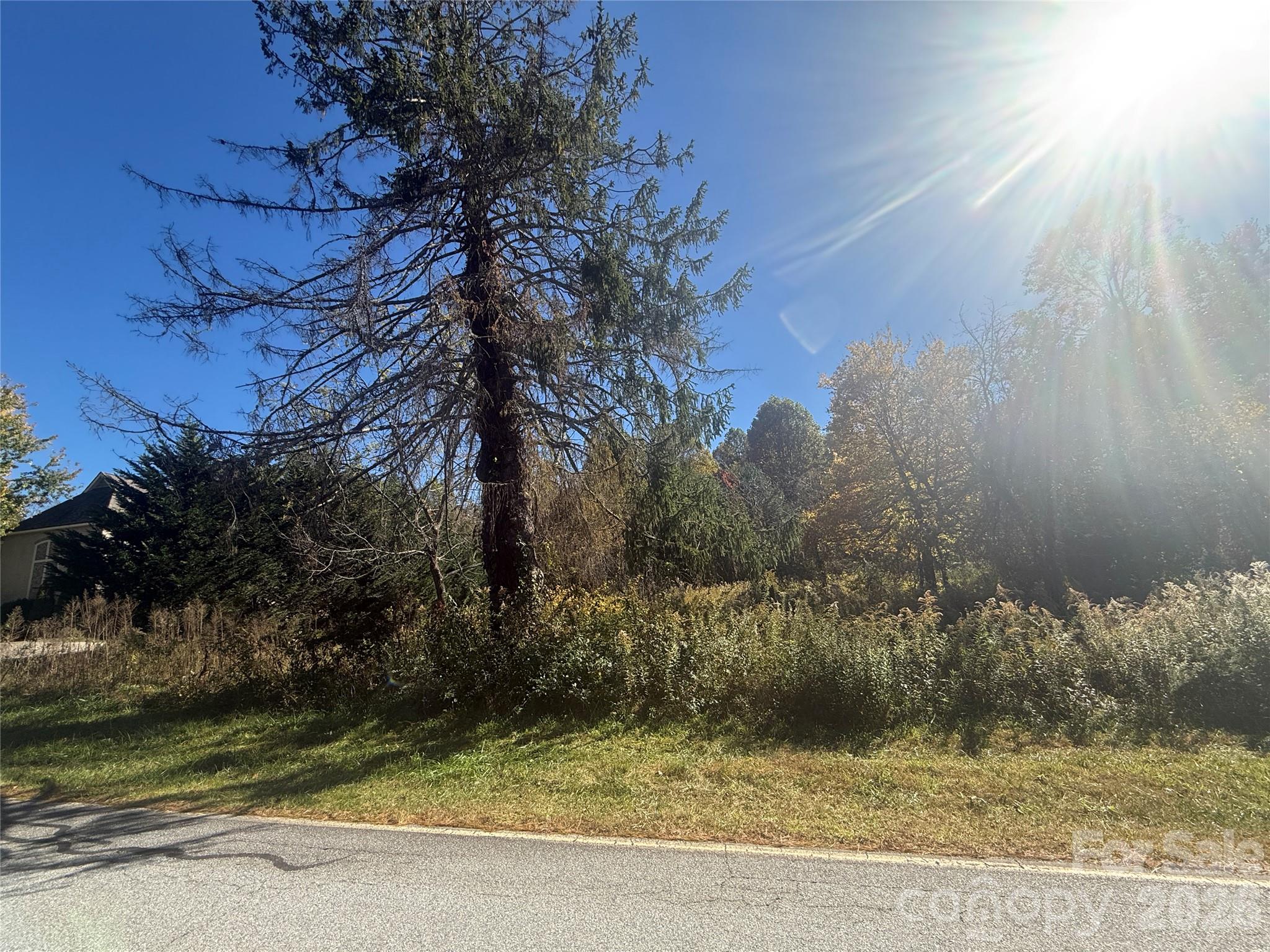 Lot at 150 Founders Drive, Flat Rock, photo 4 of 57