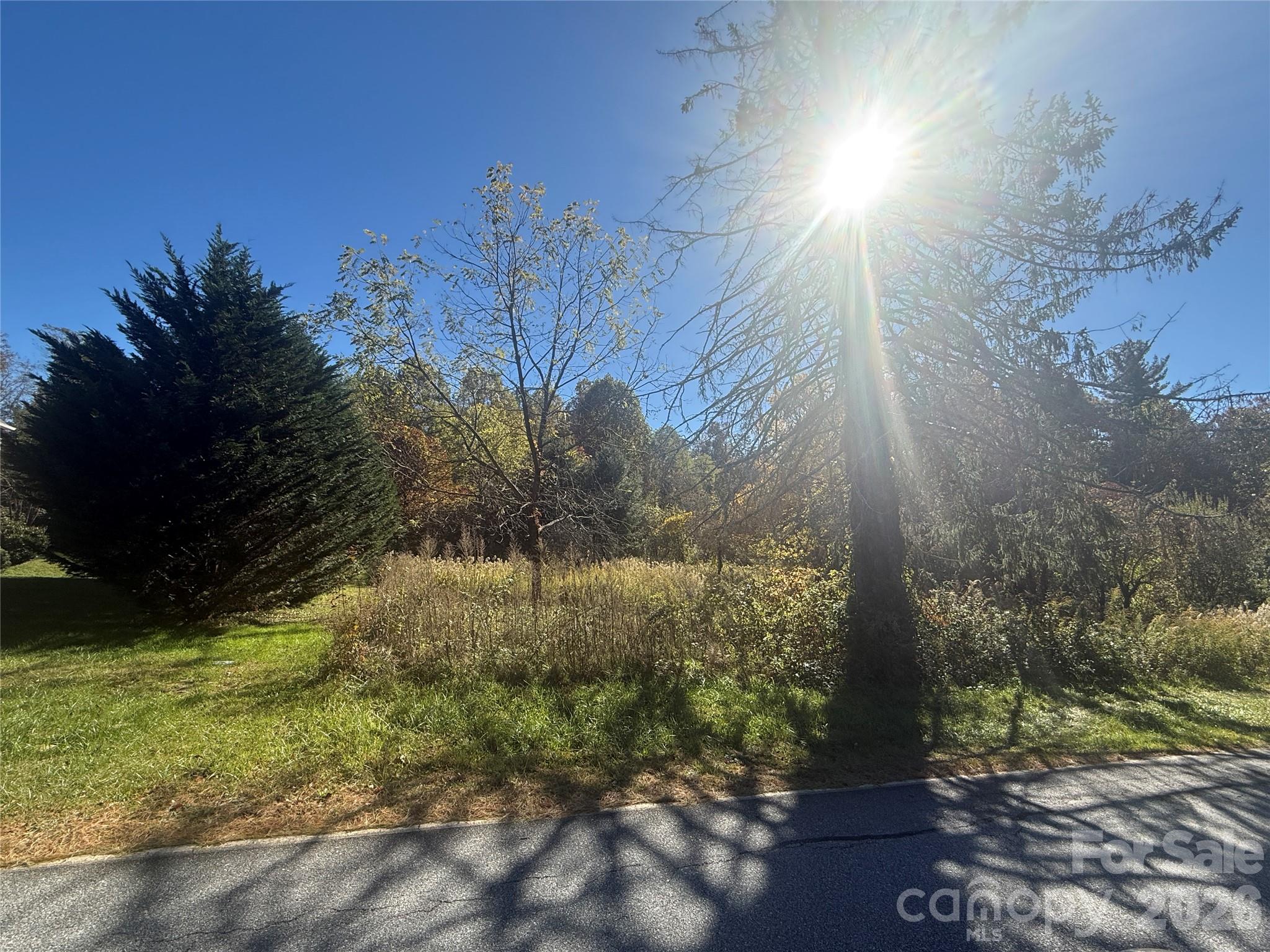 Lot at 150 Founders Drive, Flat Rock, photo 2 of 57