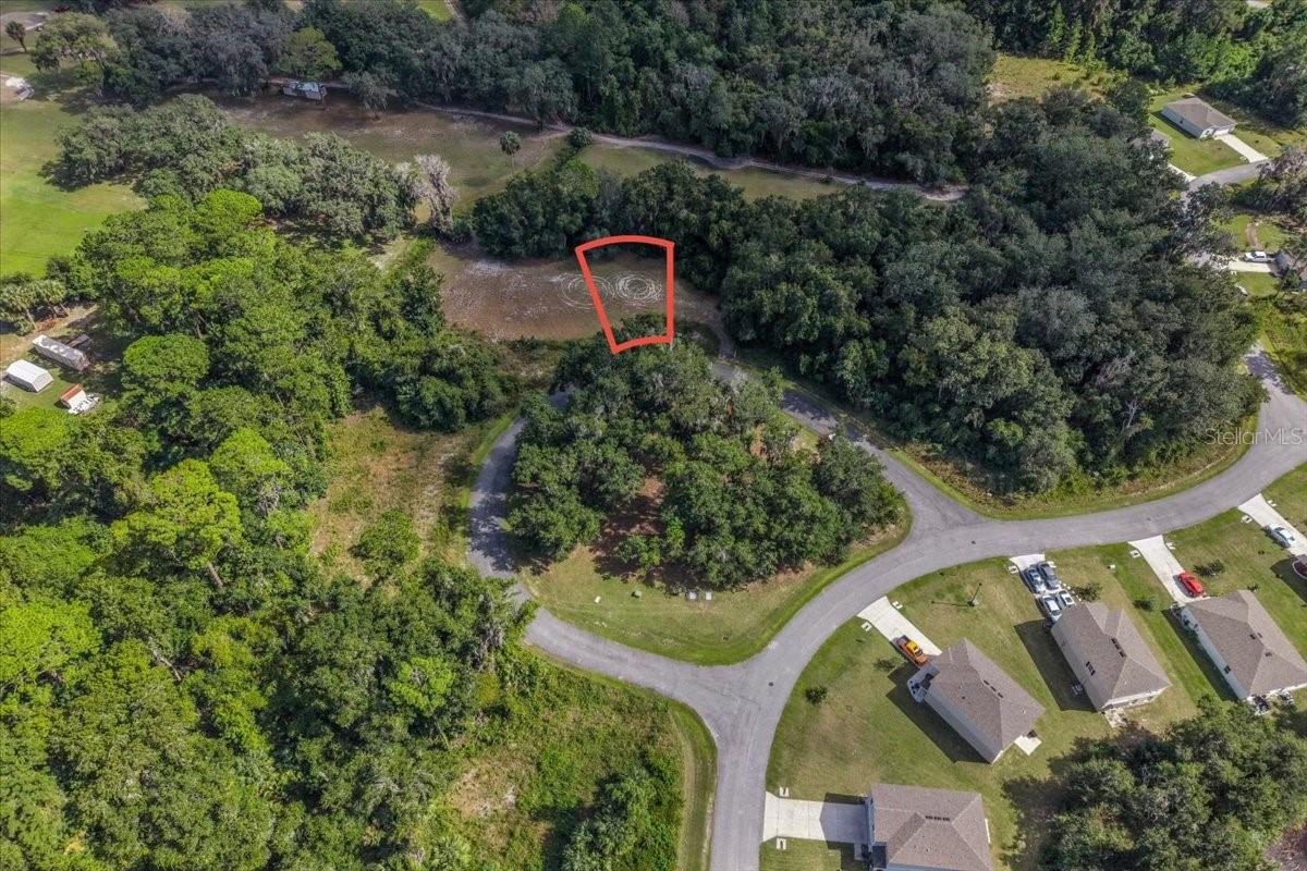 167 LIVE OAK CIR