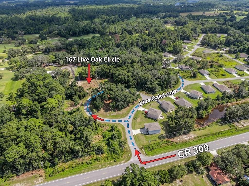 Land at 167 LIVE OAK CIR, CRESCENT CITY, photo 4 of 12