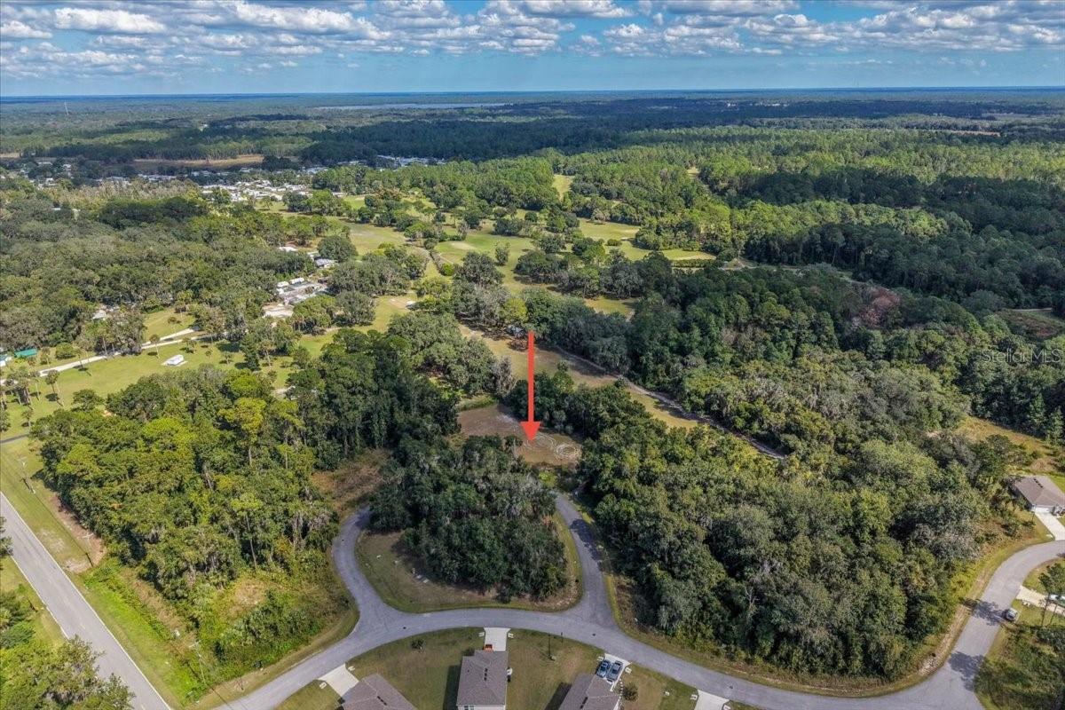 Land at 167 LIVE OAK CIR, CRESCENT CITY, photo 6 of 12