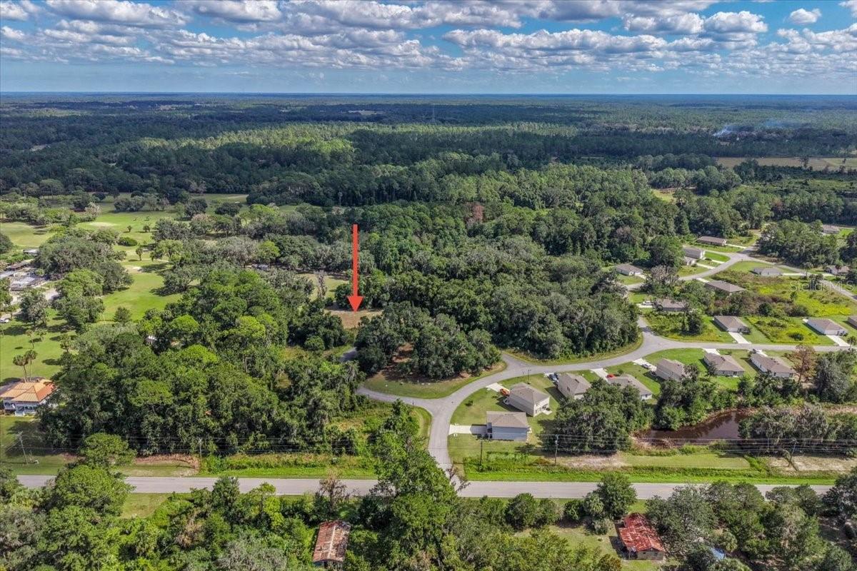 Land at 167 LIVE OAK CIR, CRESCENT CITY, photo 10 of 12
