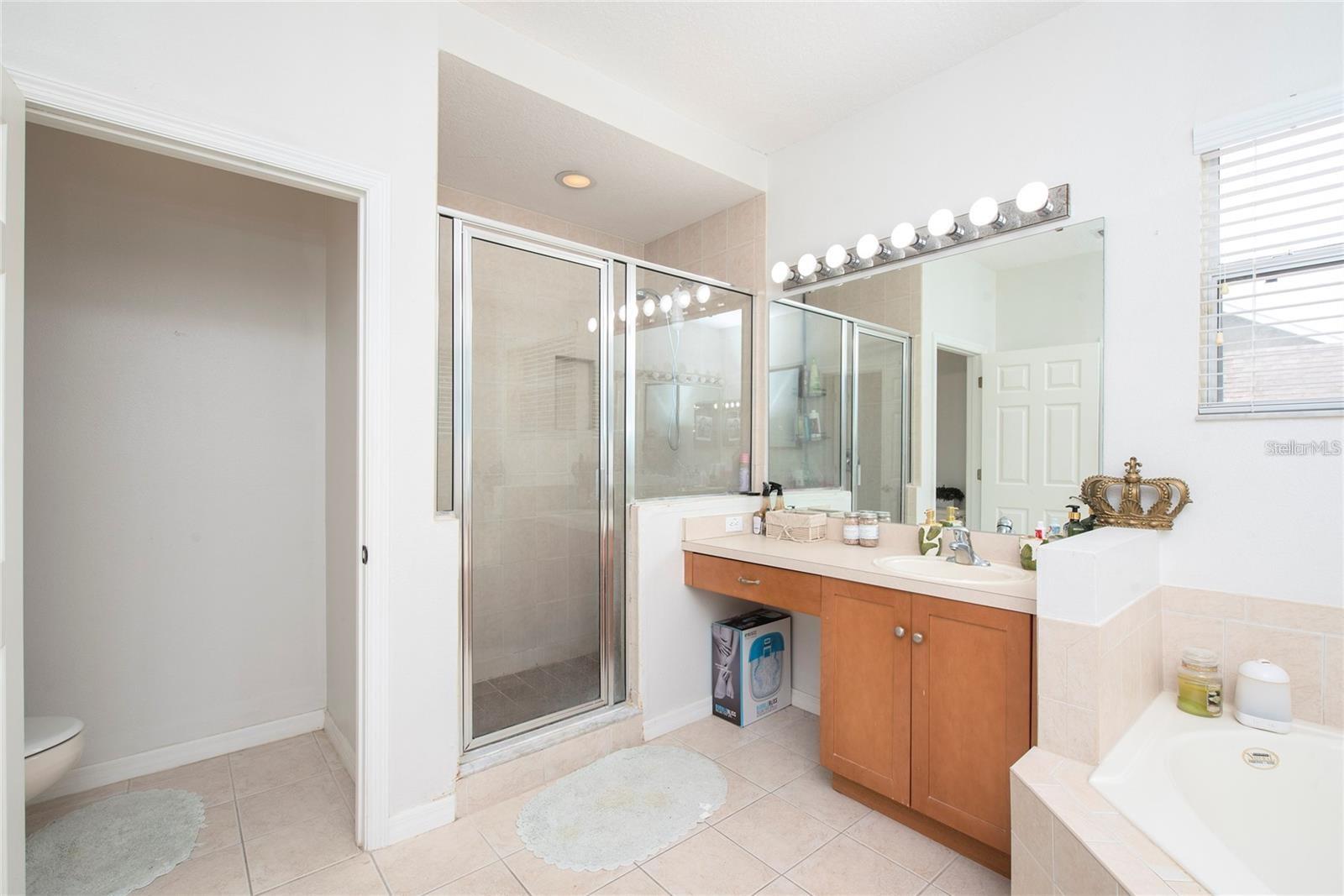 Single Family Residence at 5231 LEMON TWIST LN, WINDERMERE, photo 11 of 20