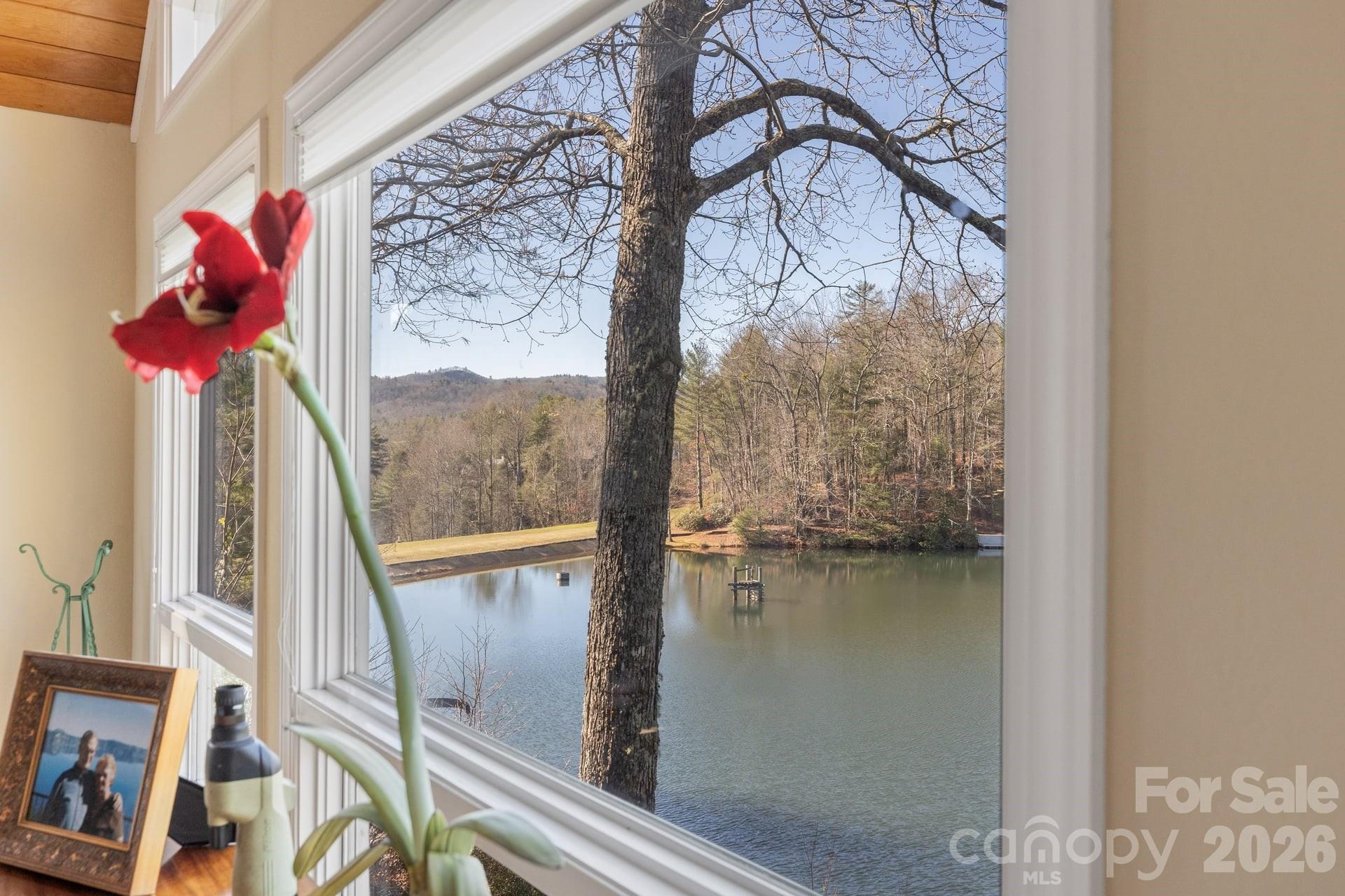 Single Family Residence at 100 The Pinnacle Drive, Sapphire, photo 13 of 50