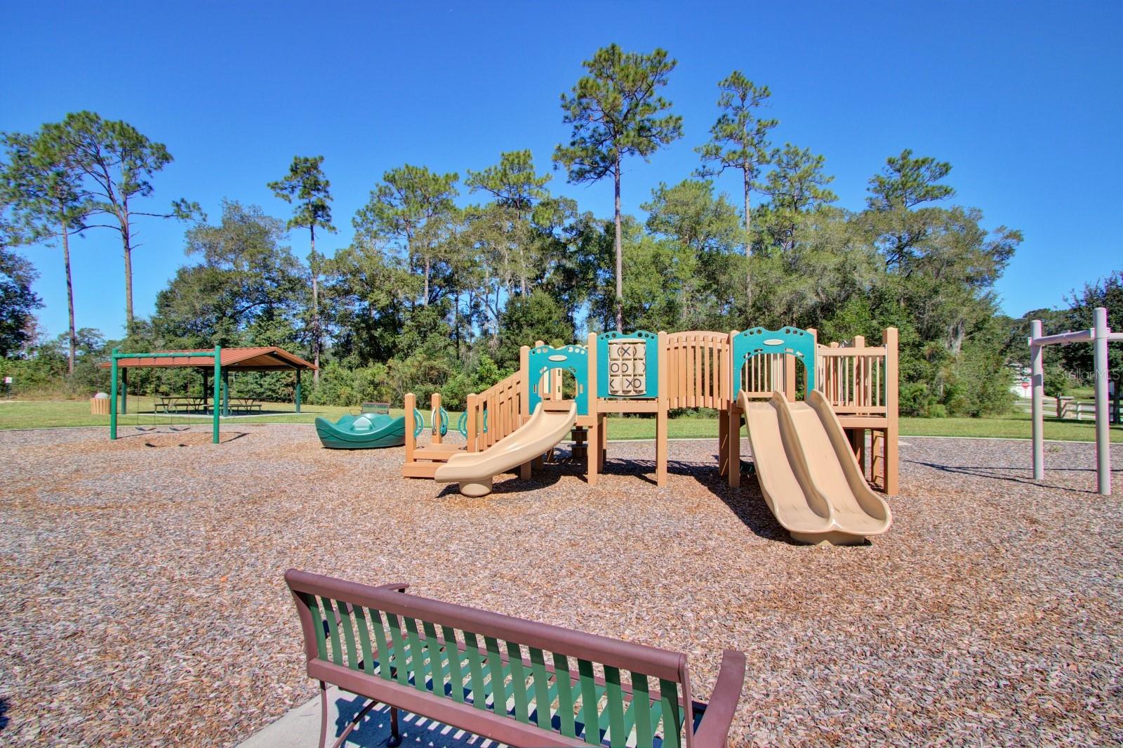 Single Family Residence at 408 LADY BELLA PL, DELAND, photo 56 of 67