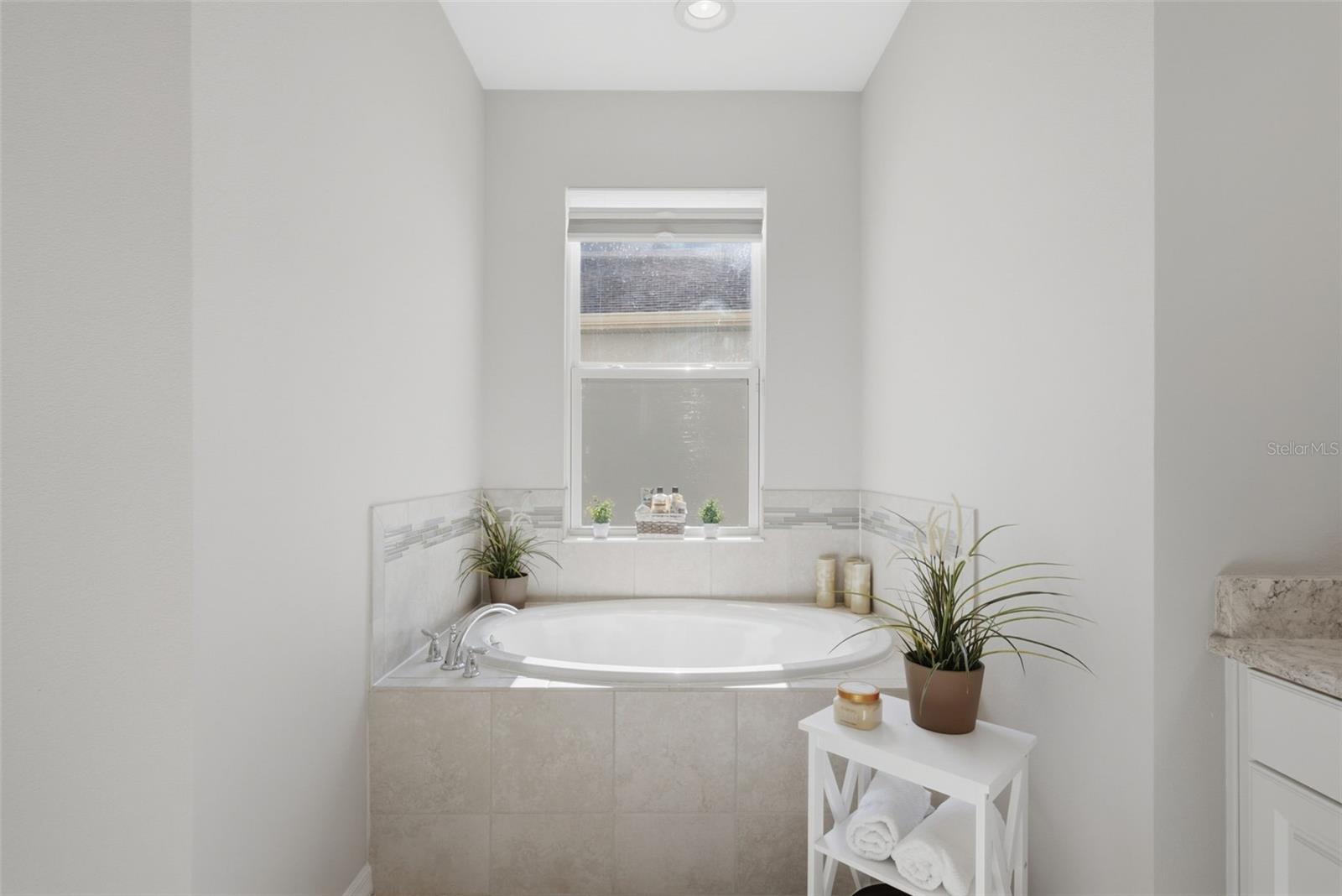 Single Family Residence at 9009 SPRUCE CREEK CIR, RIVERVIEW, photo 22 of 59